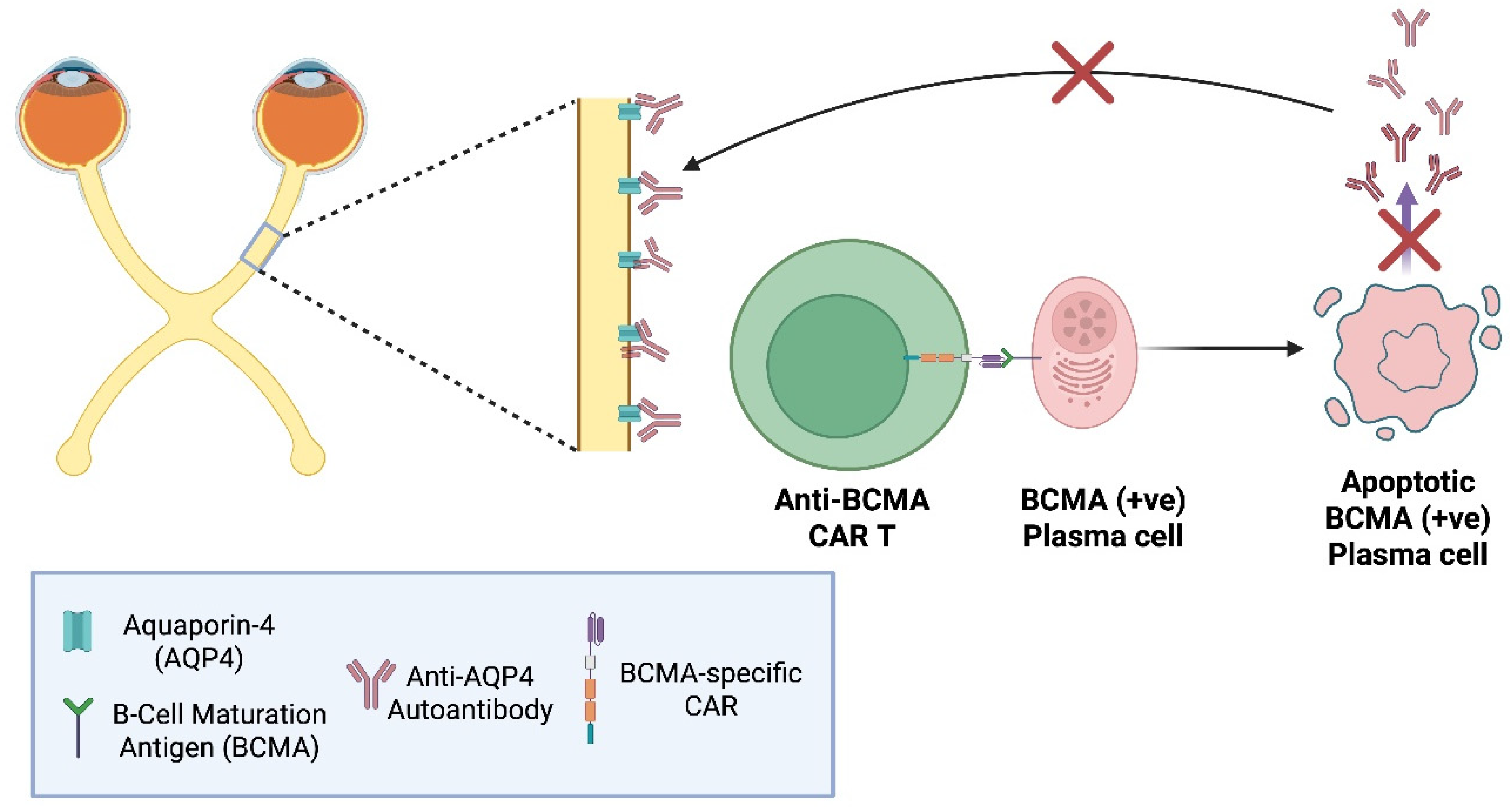 Preprints 189822 g011