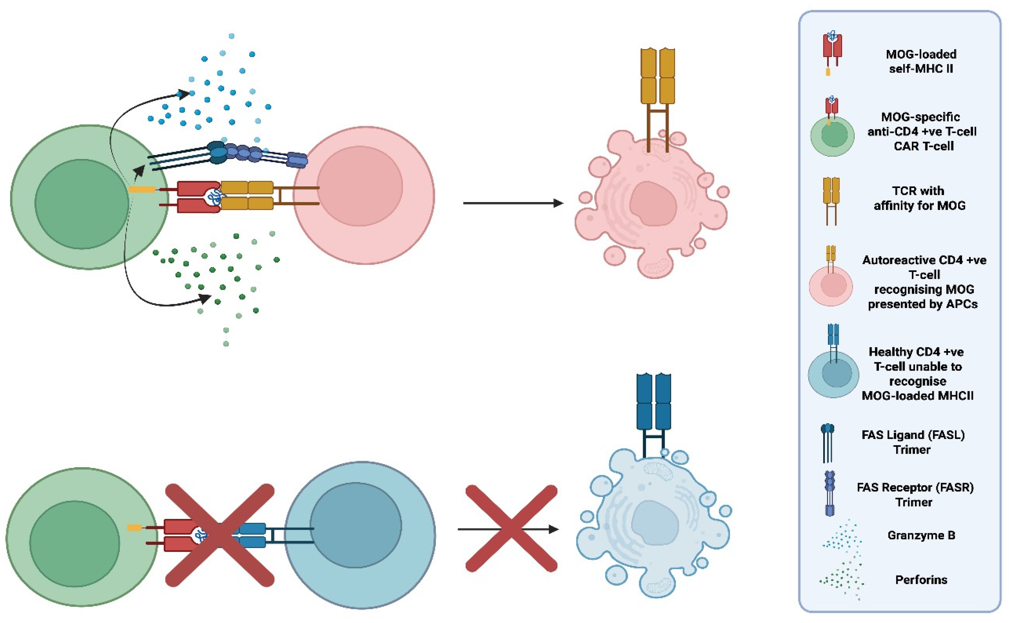 Preprints 189822 g013