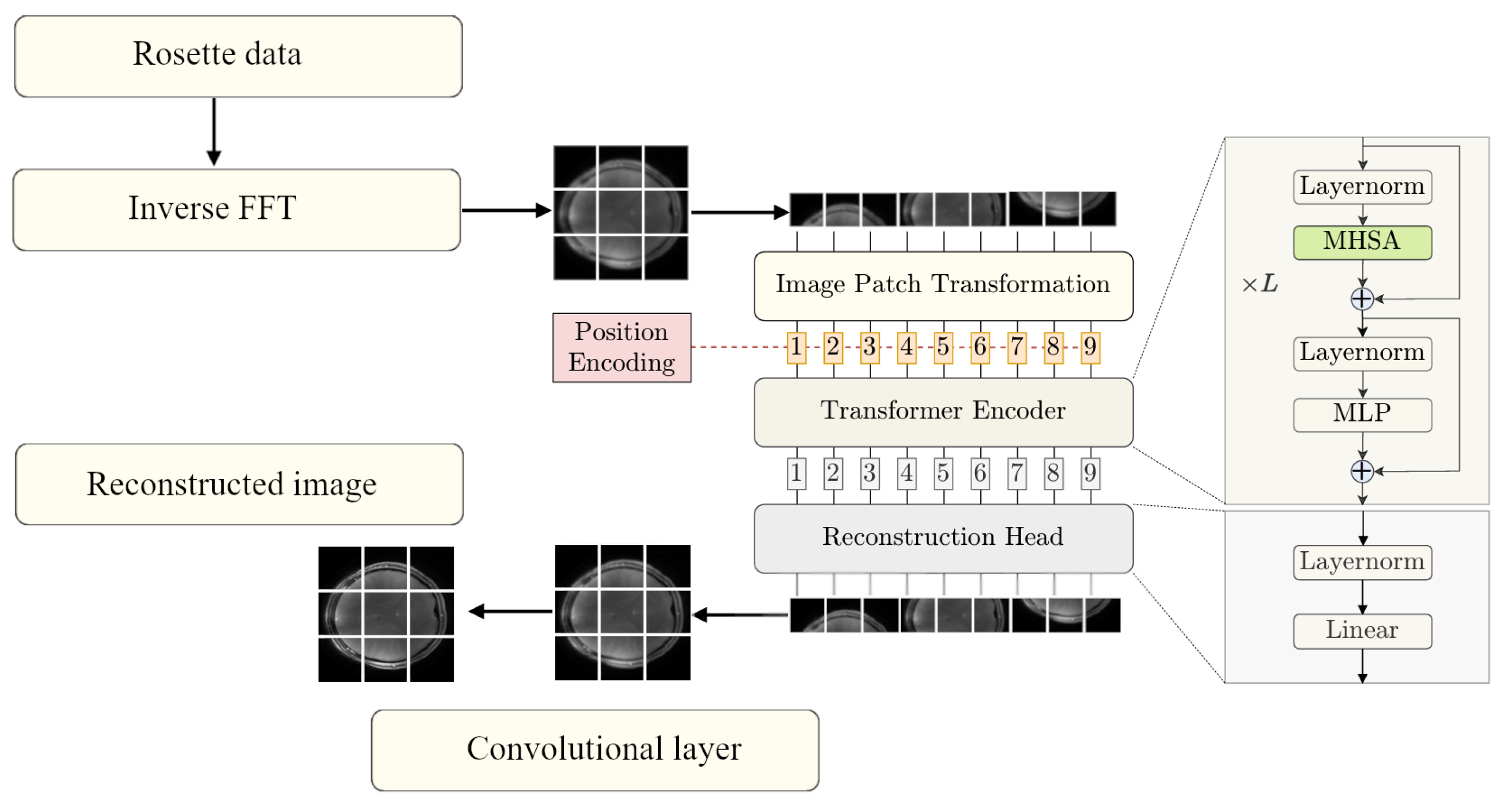 Preprints 148317 g001