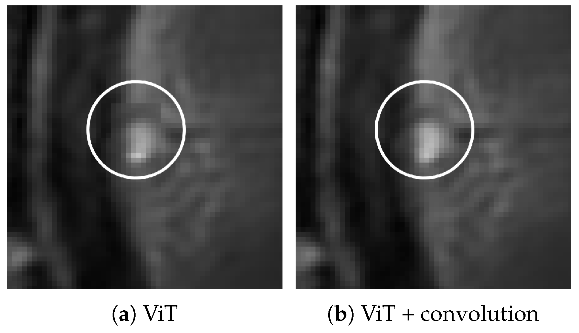Preprints 148317 g002