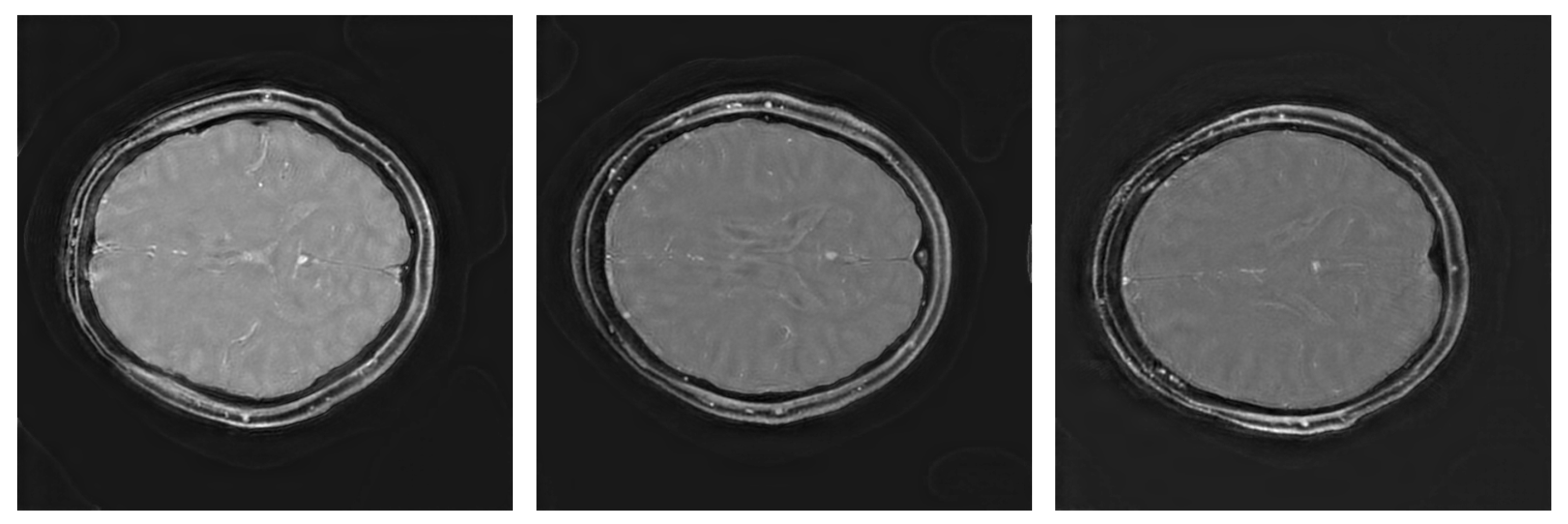 Preprints 148317 g003