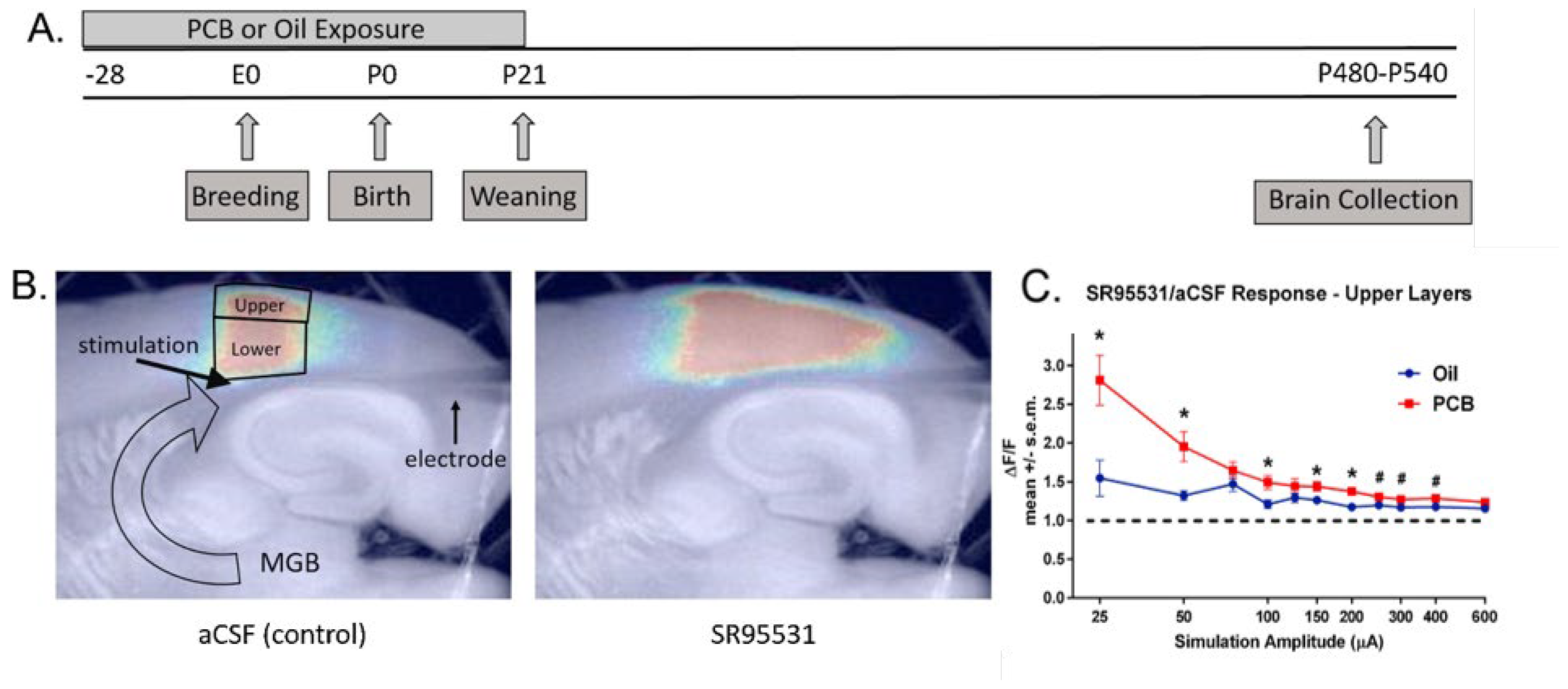 Preprints 171772 g002