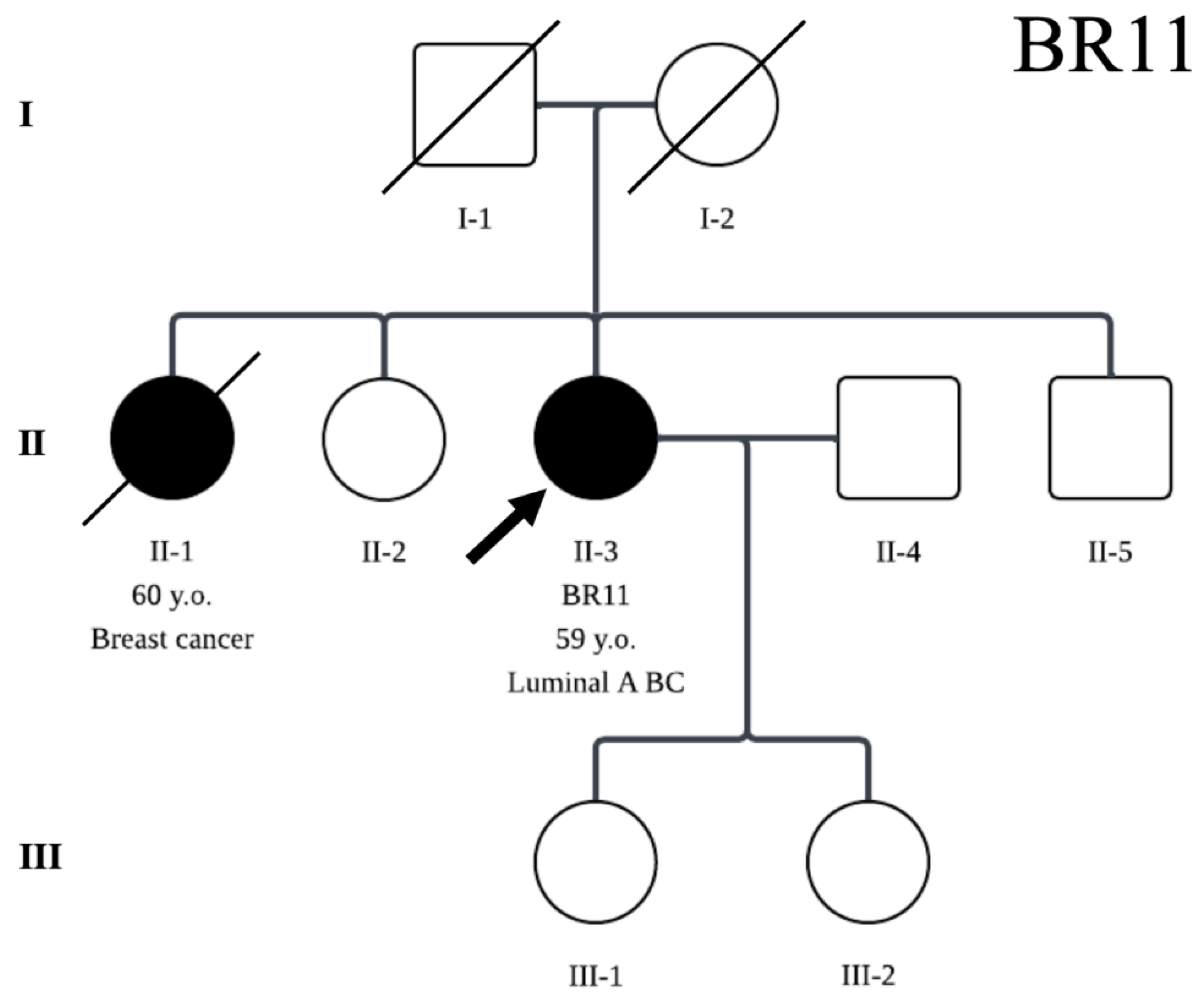 Preprints 192940 g001