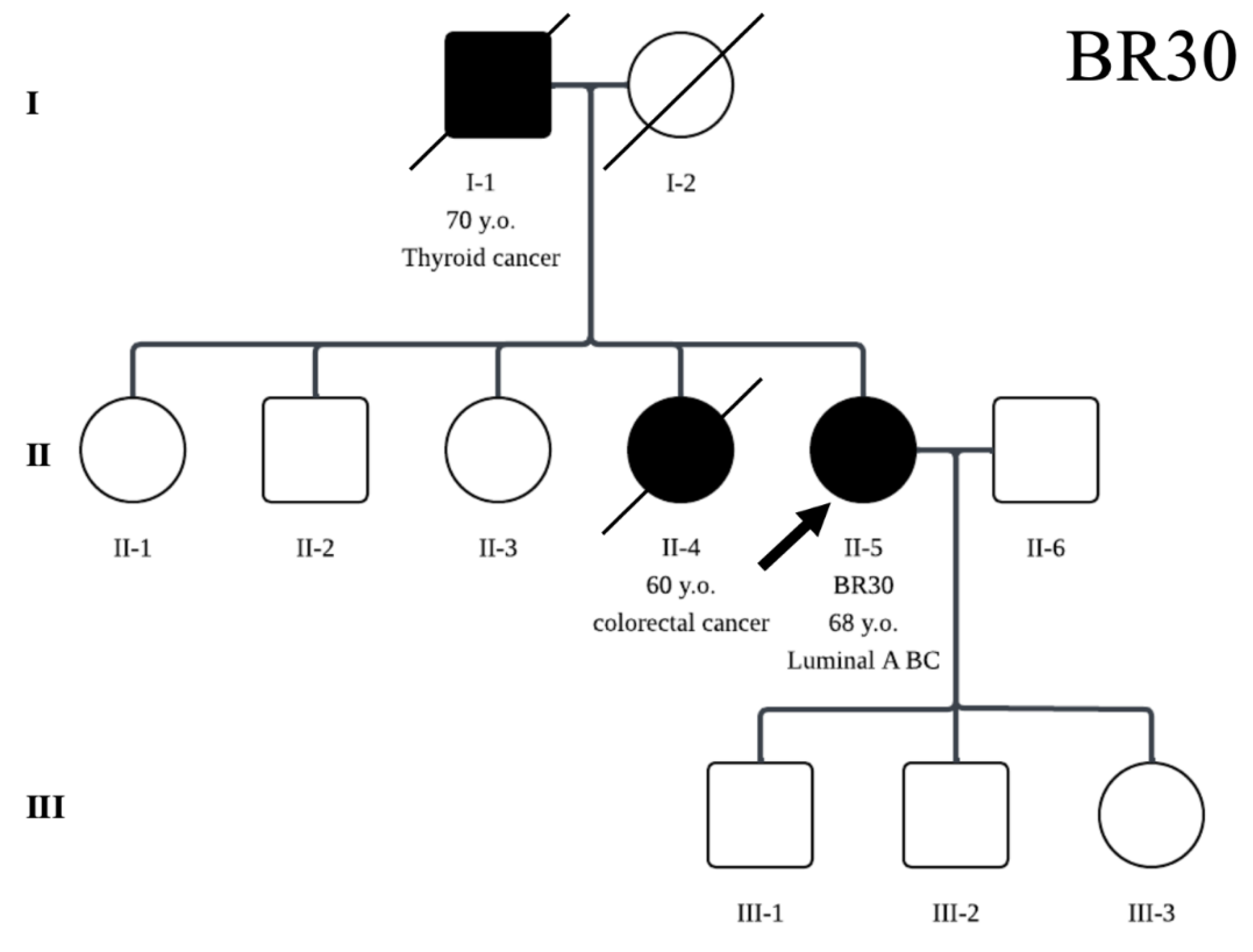 Preprints 192940 g002