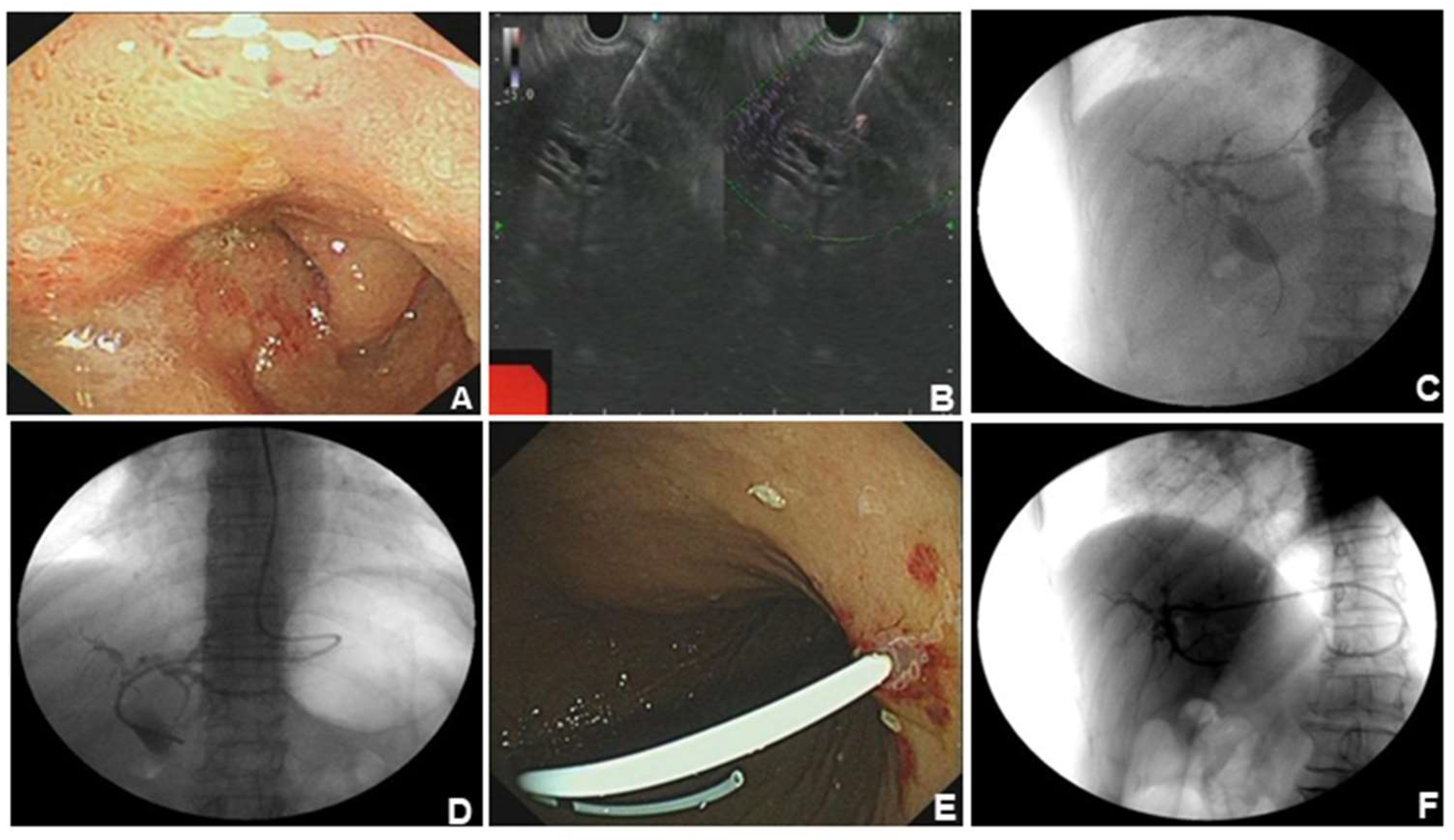 Preprints 153556 g001