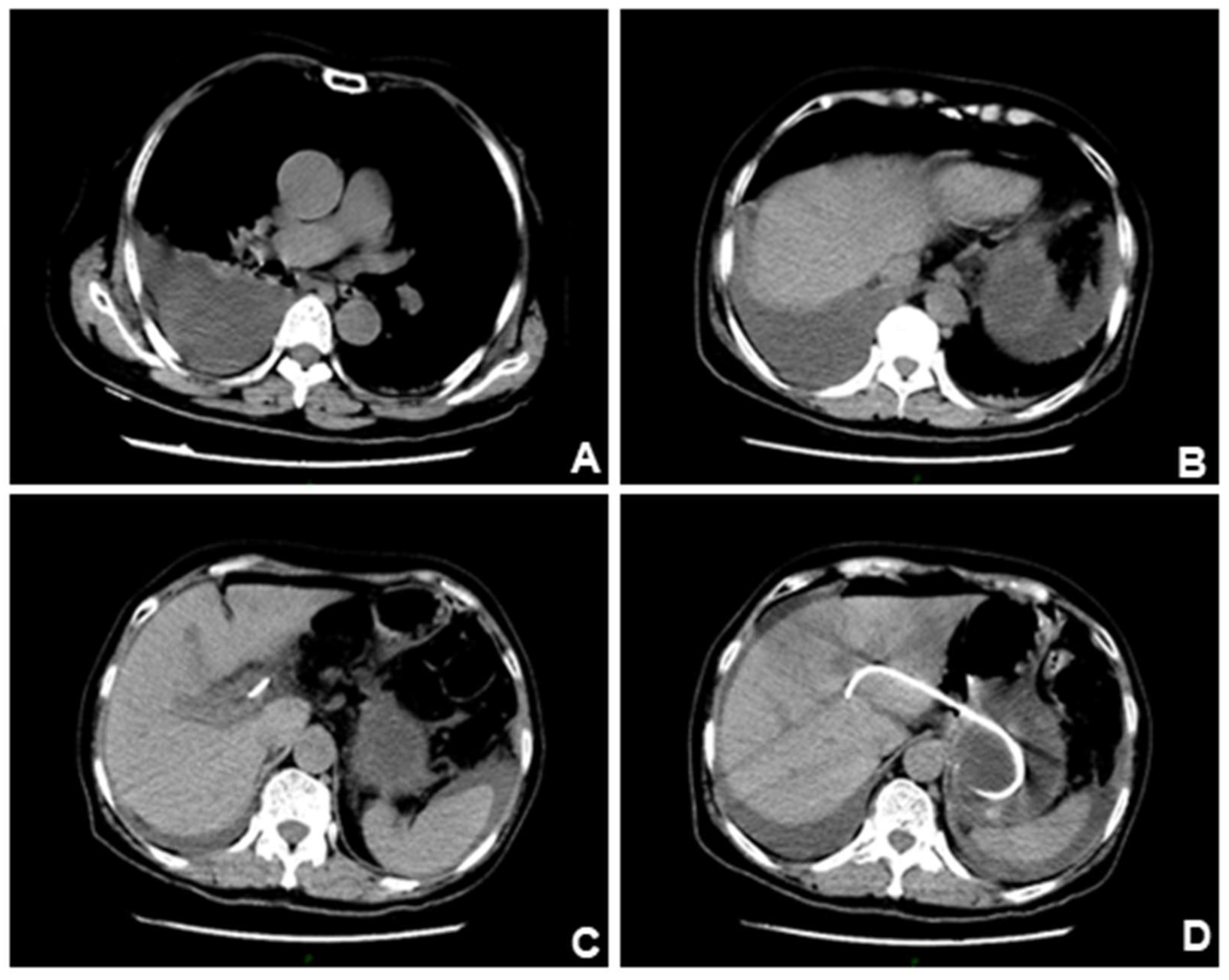 Preprints 153556 g002