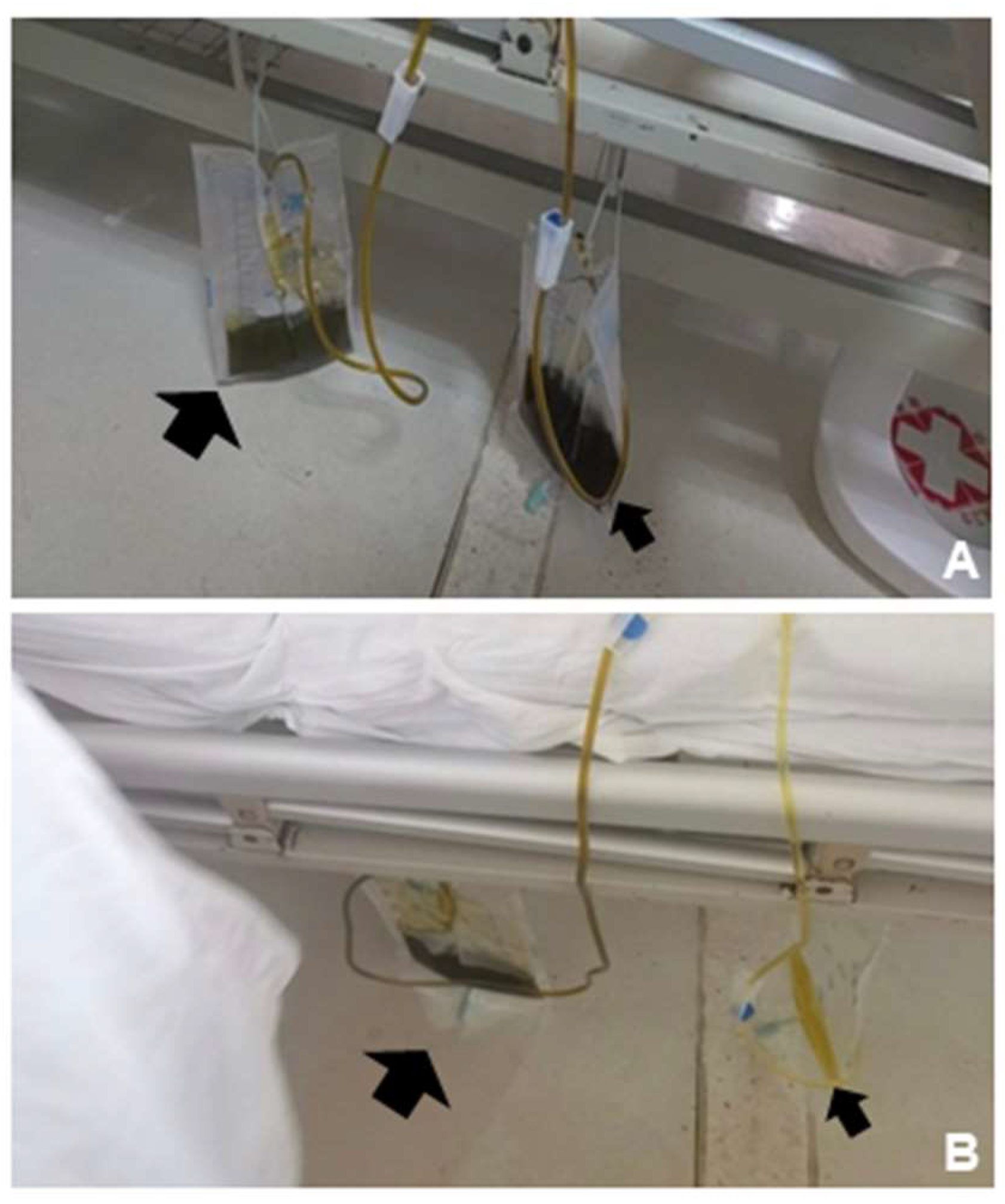 Preprints 153556 g003