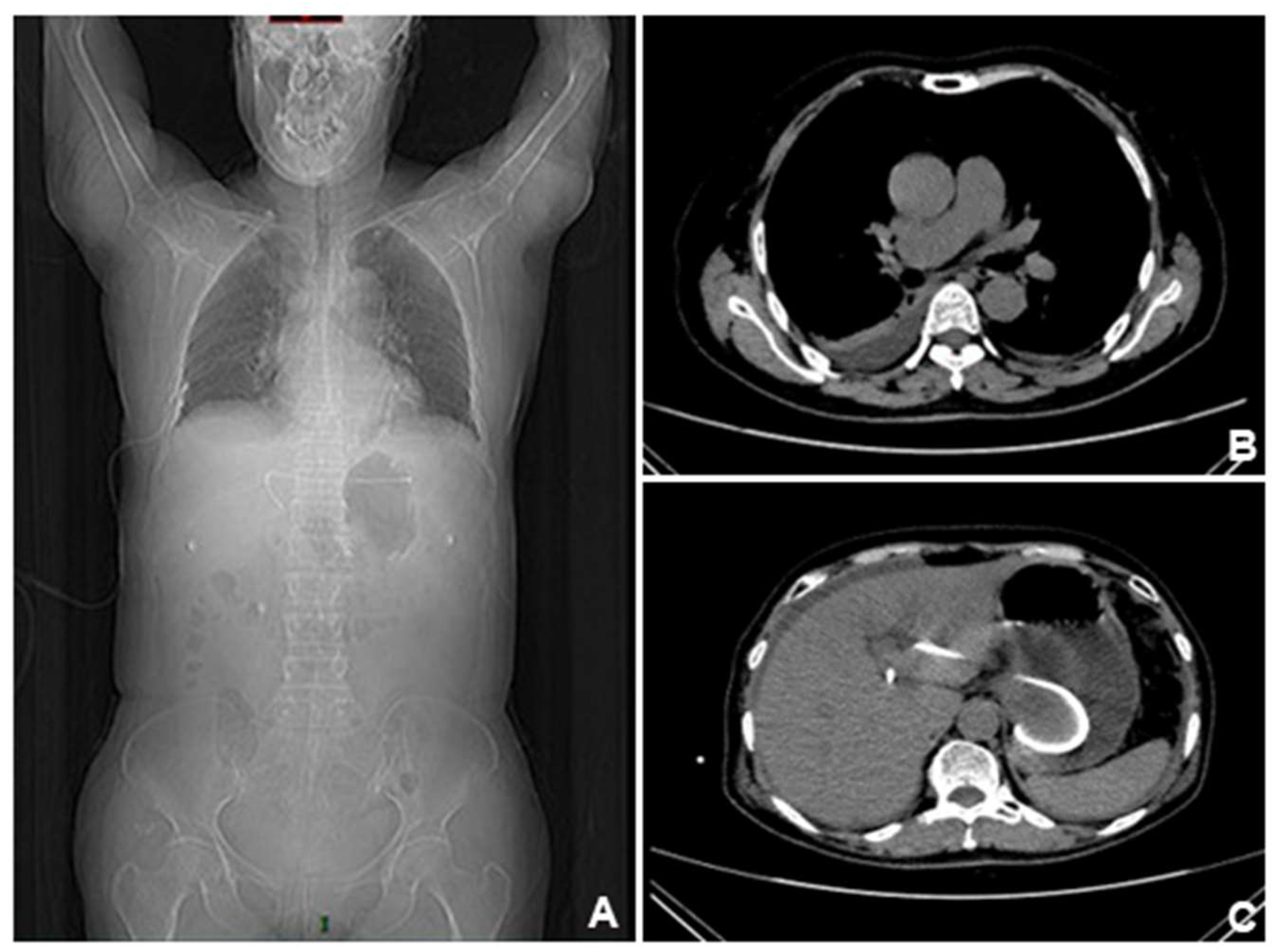 Preprints 153556 g004