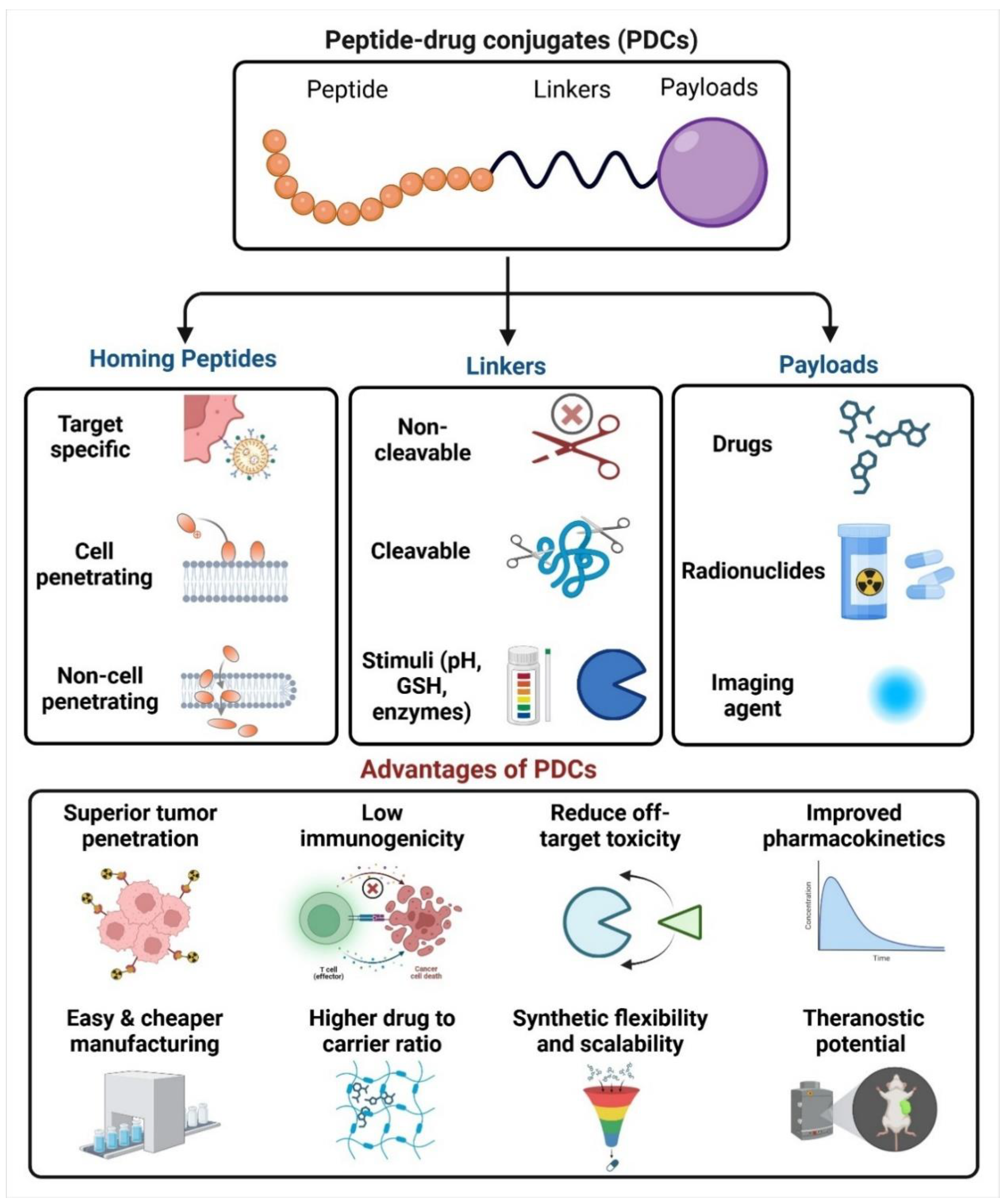 Preprints 152939 g001