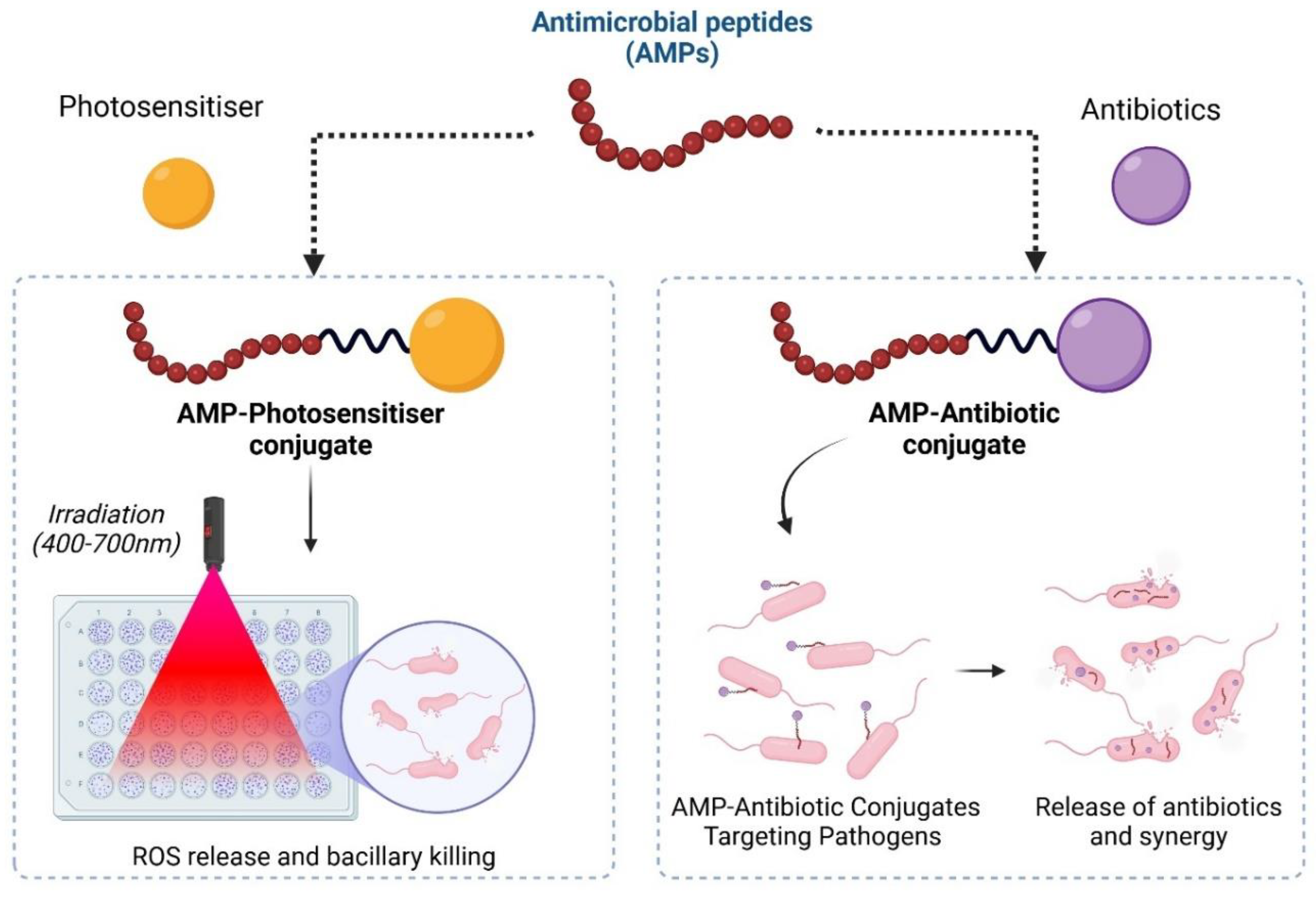 Preprints 152939 g003