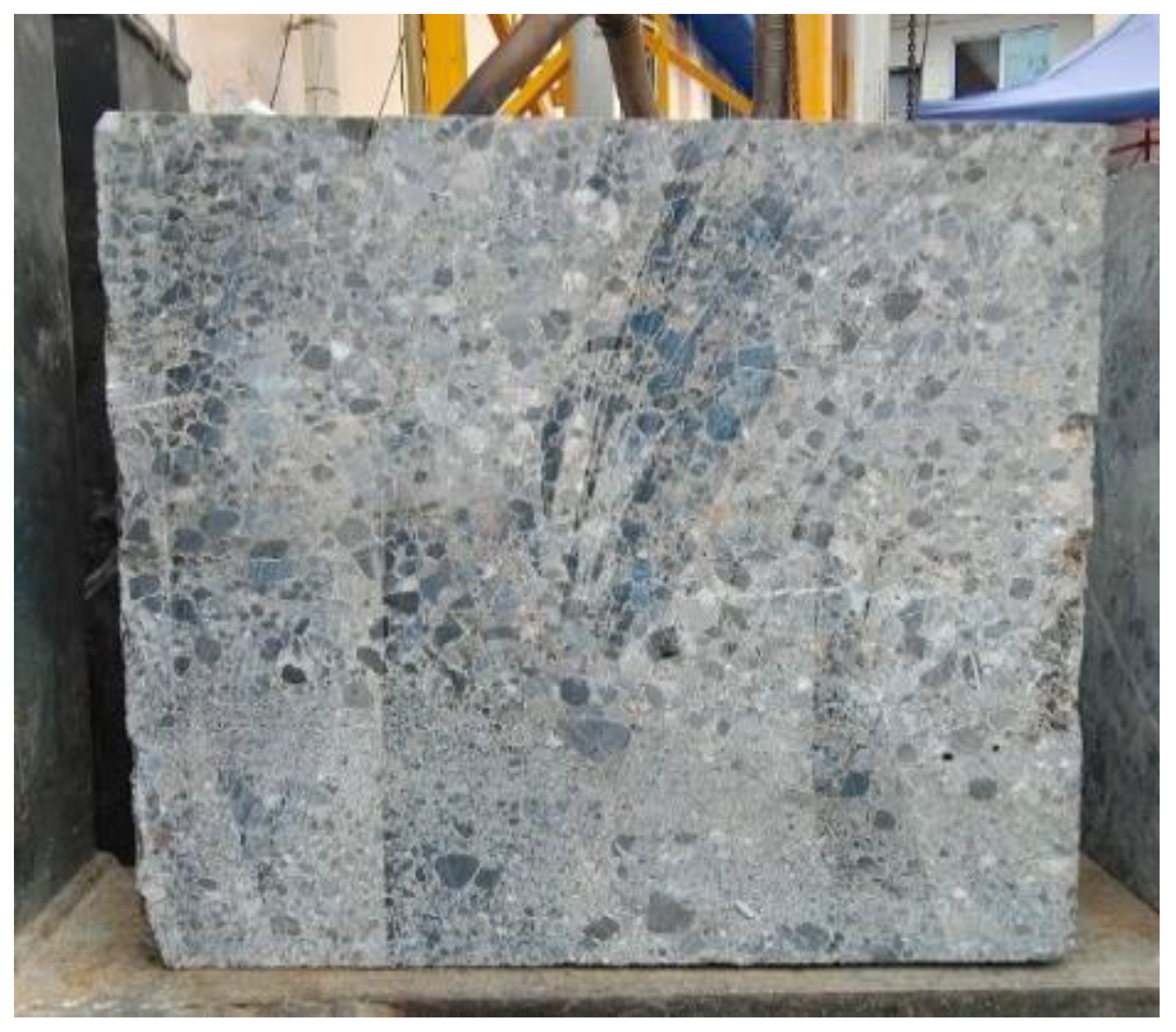 Preprints 141959 g001