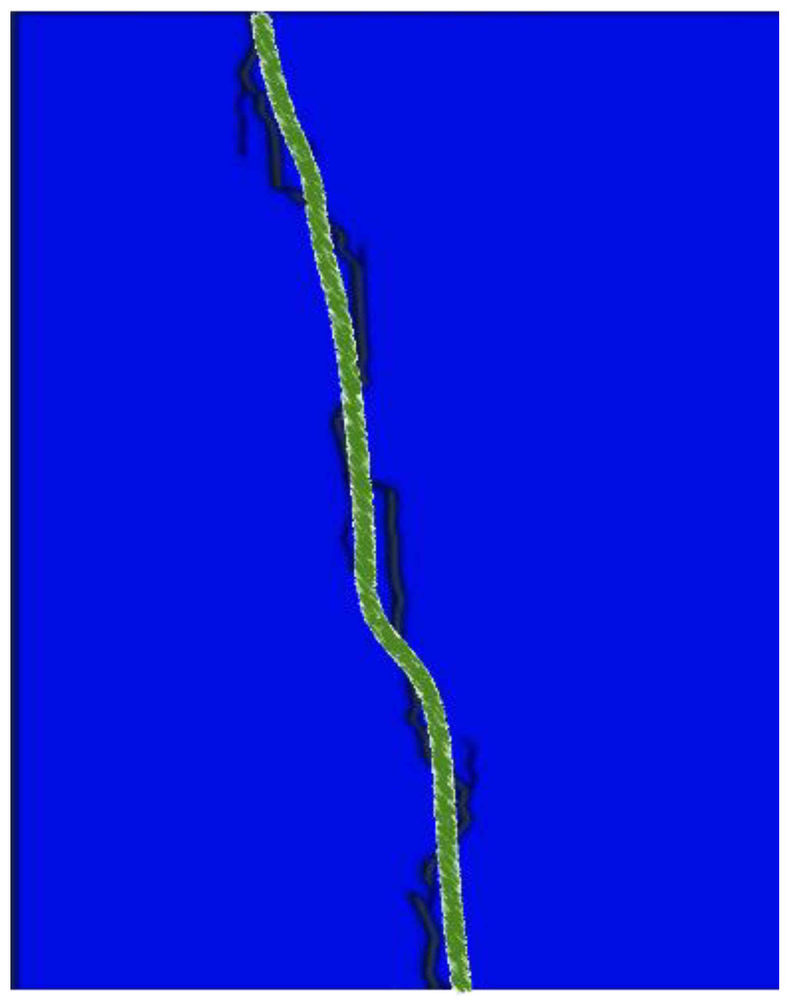 Preprints 141959 g006