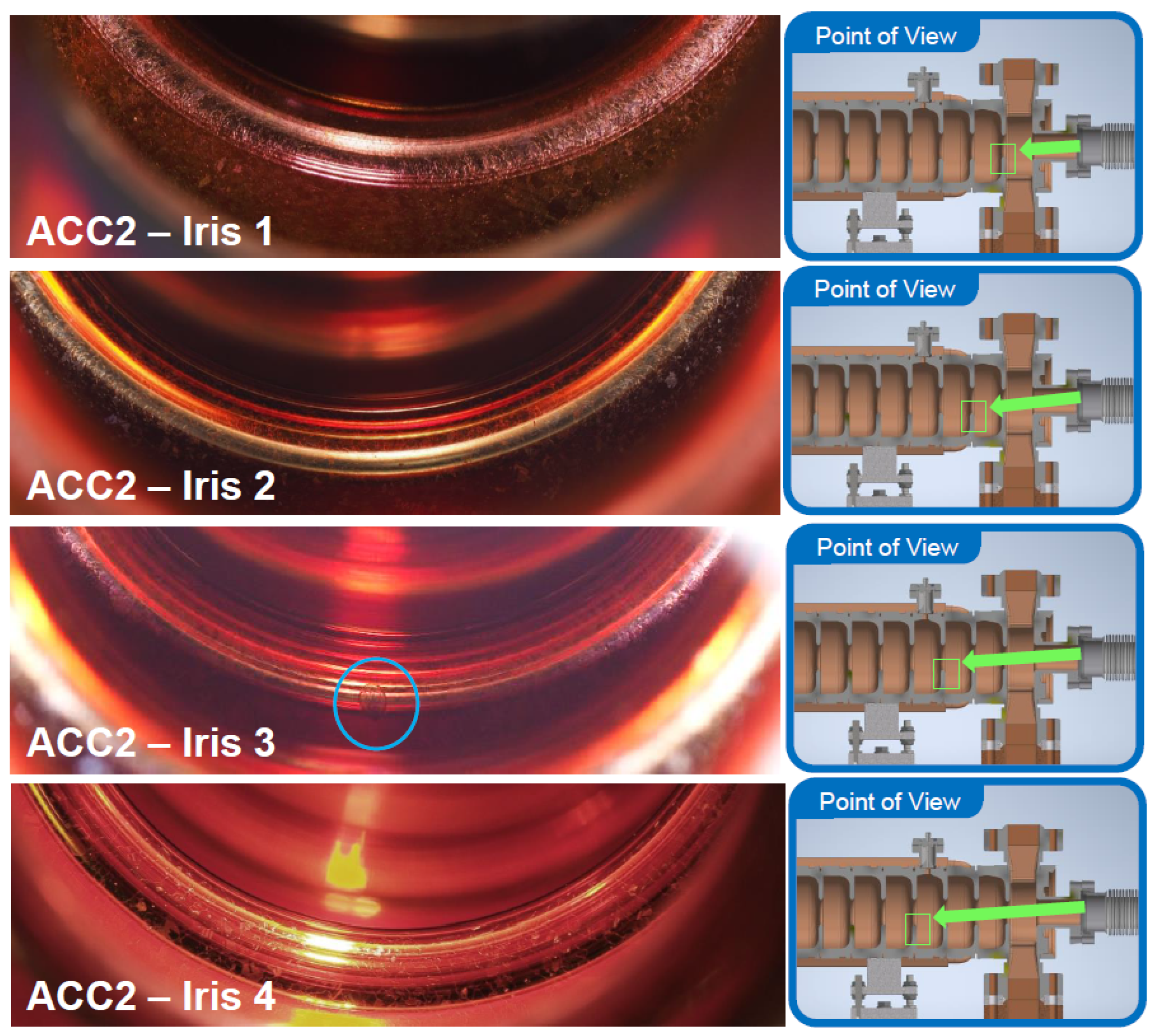 Preprints 193217 g007