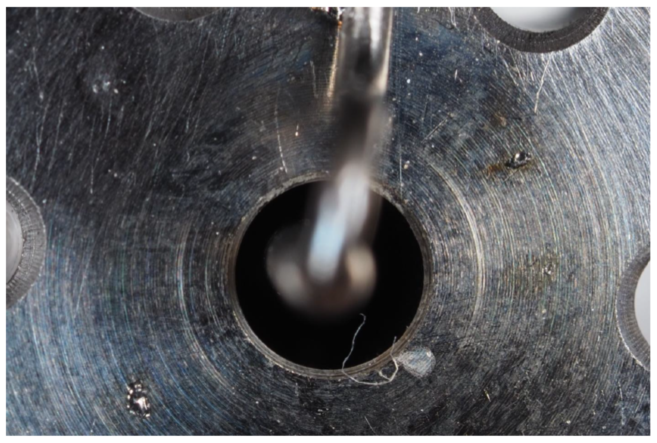 Preprints 193217 g008