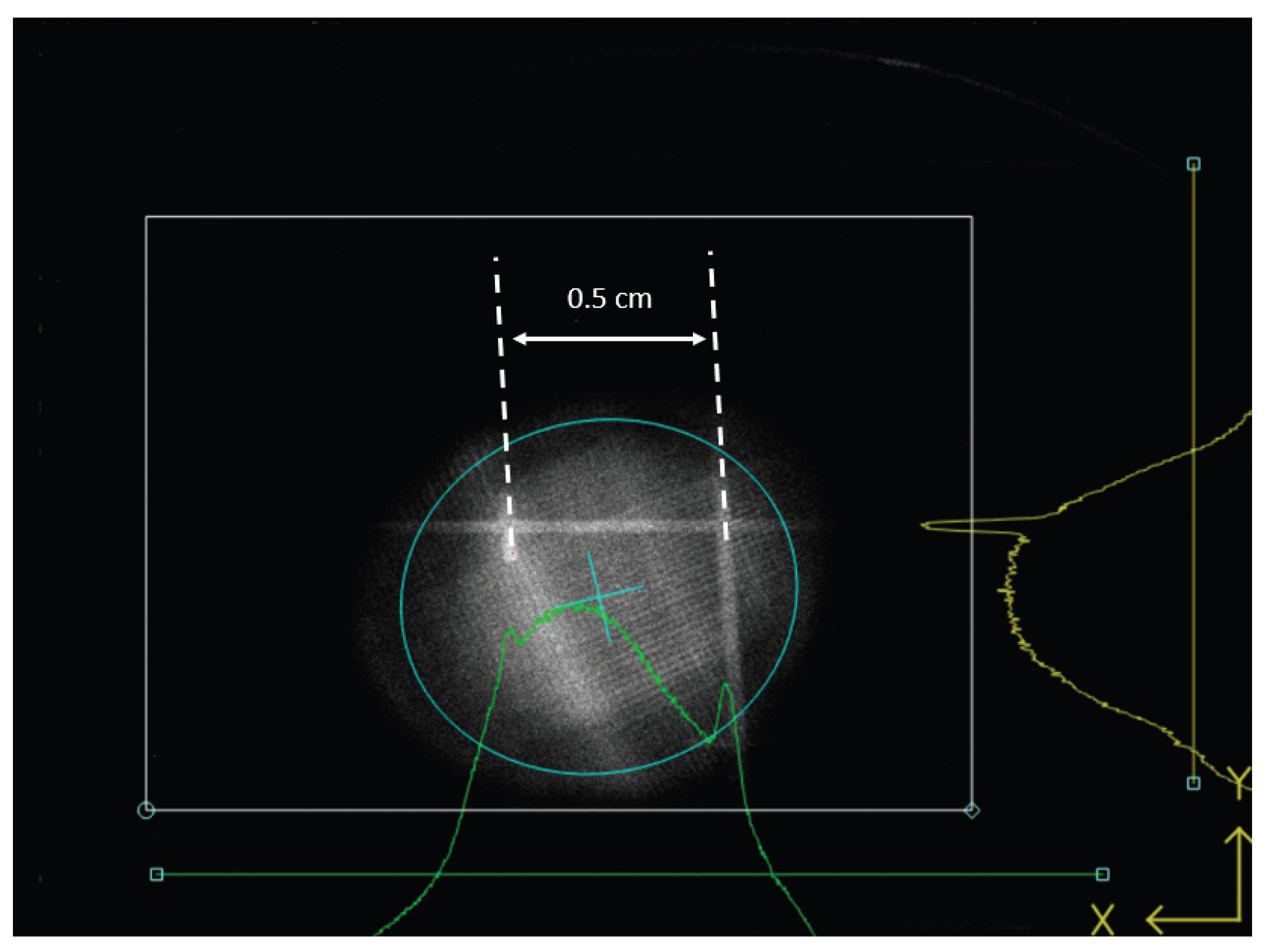 Preprints 193217 g023