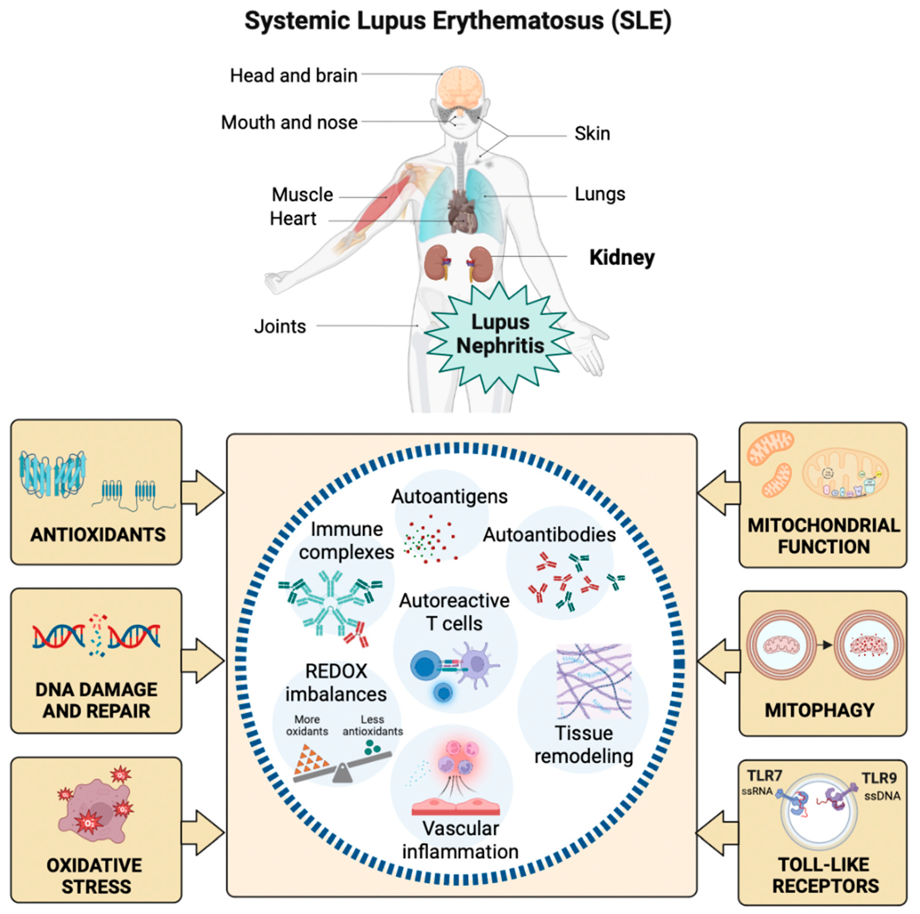 Preprints 83246 g001