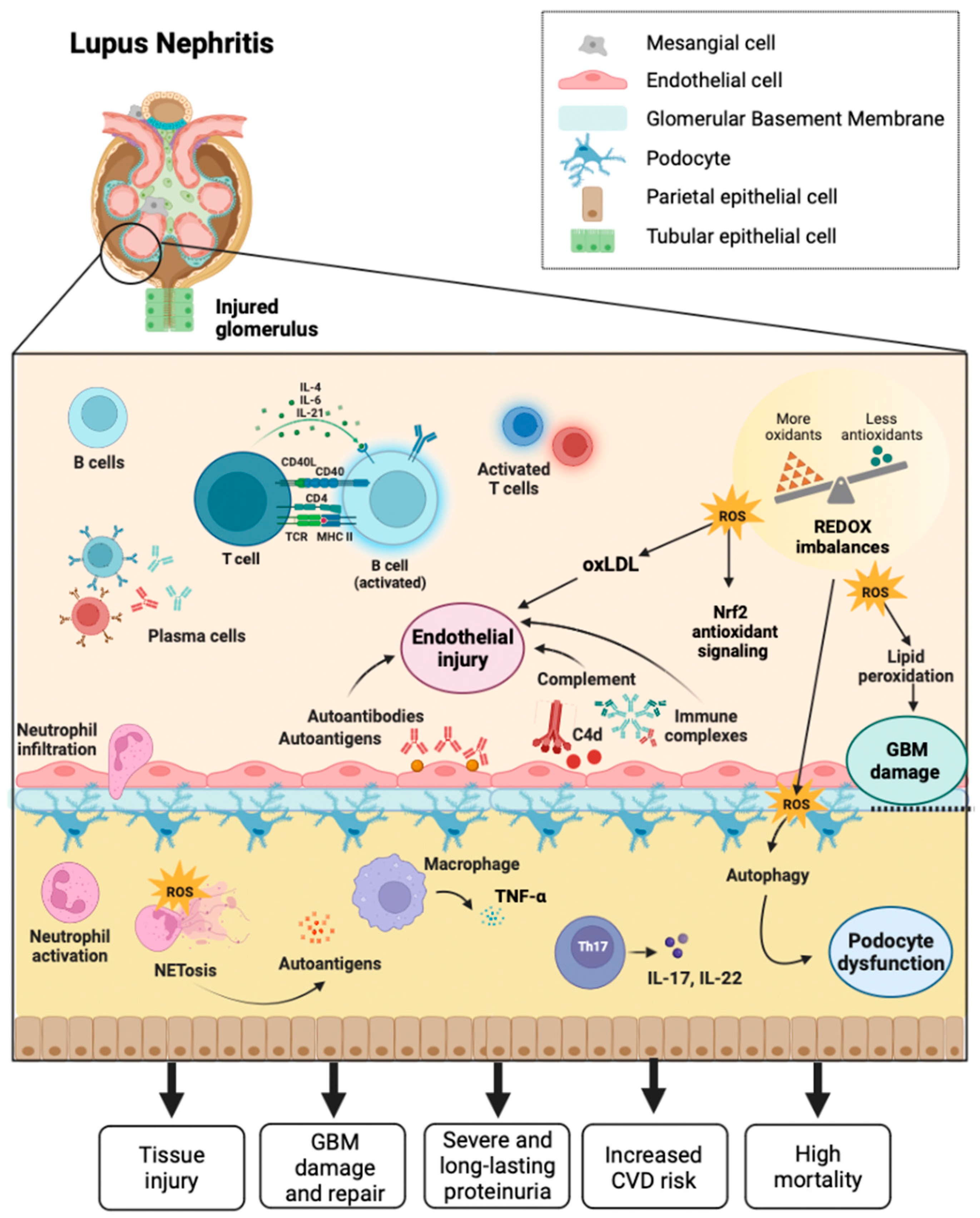 Preprints 83246 g002