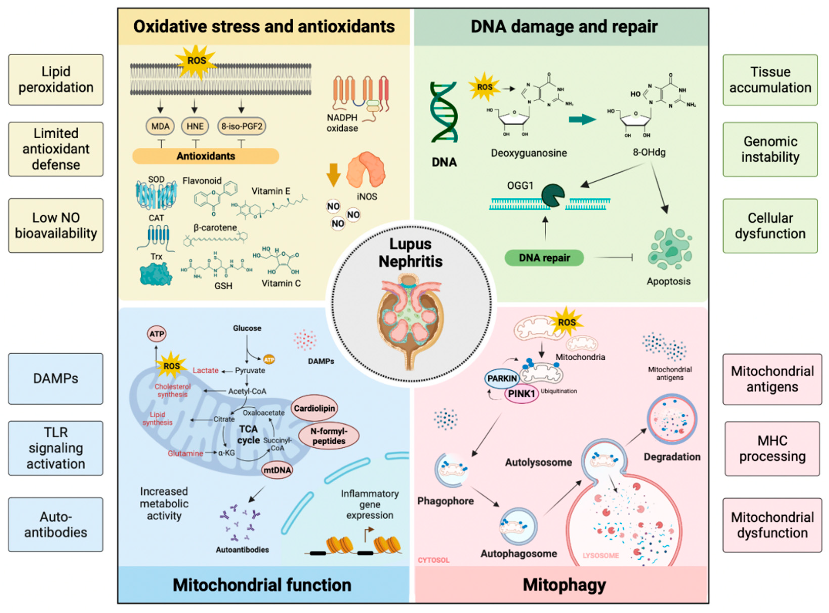 Preprints 83246 g003