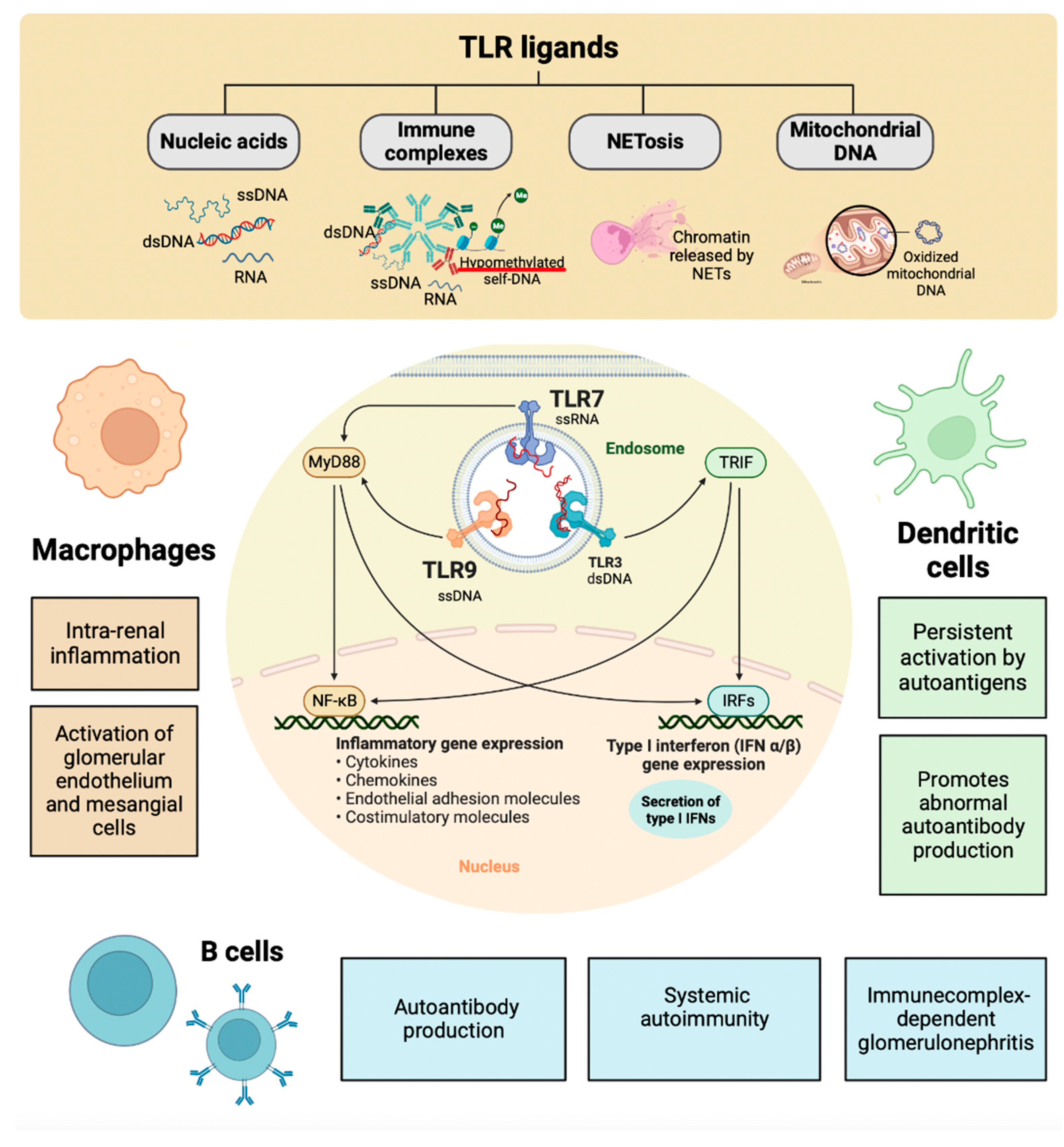 Preprints 83246 g004