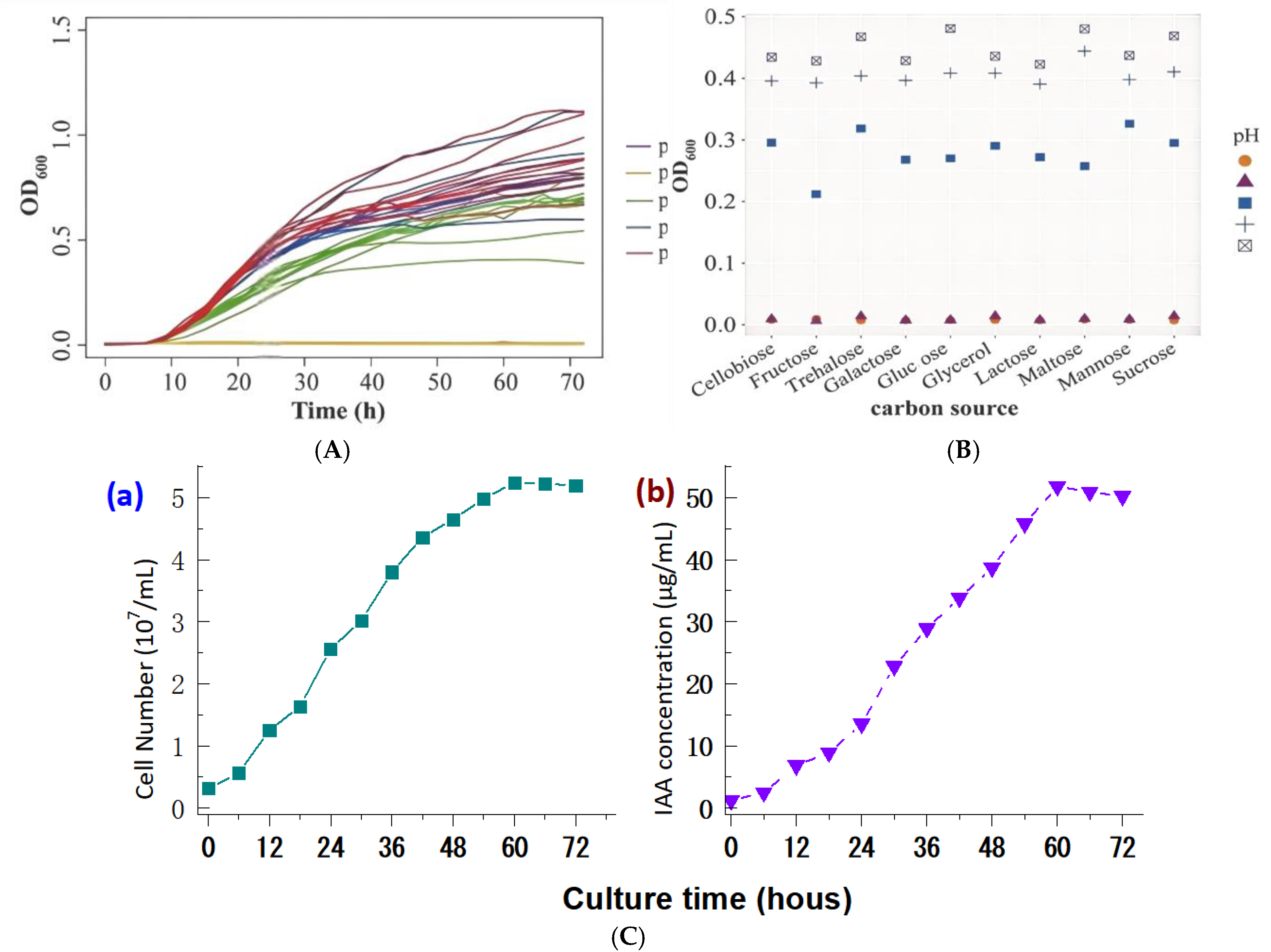 Preprints 172202 g006