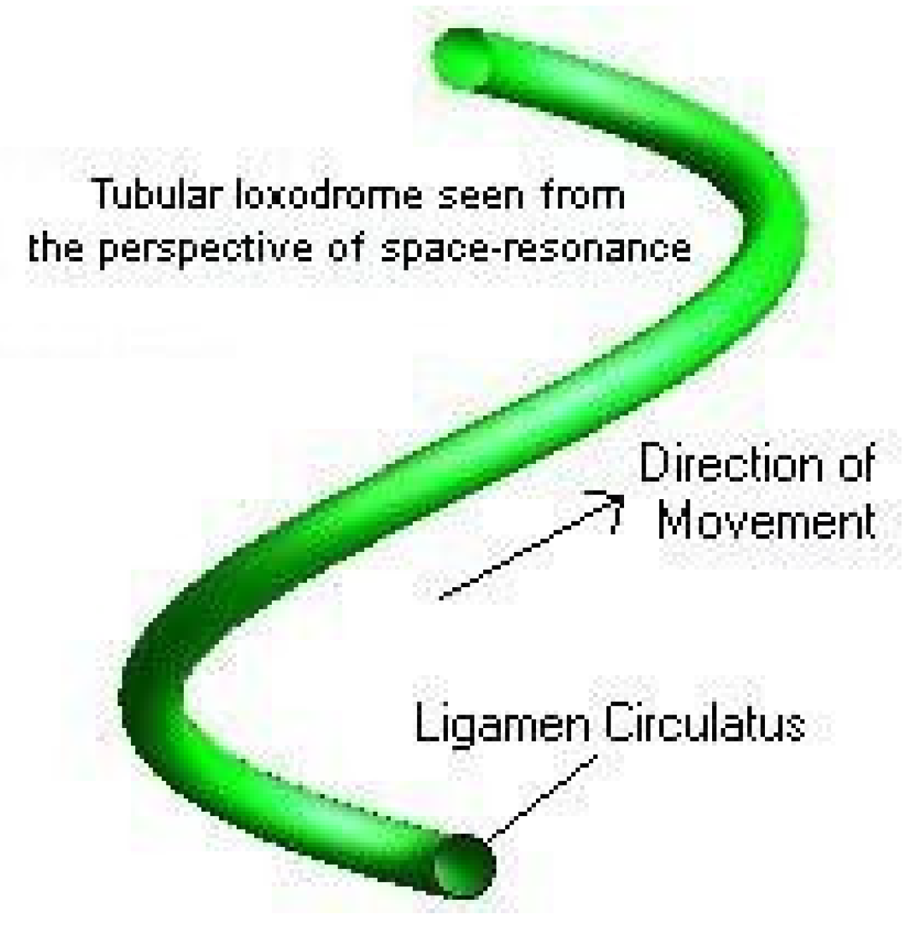 Preprints 112492 g005