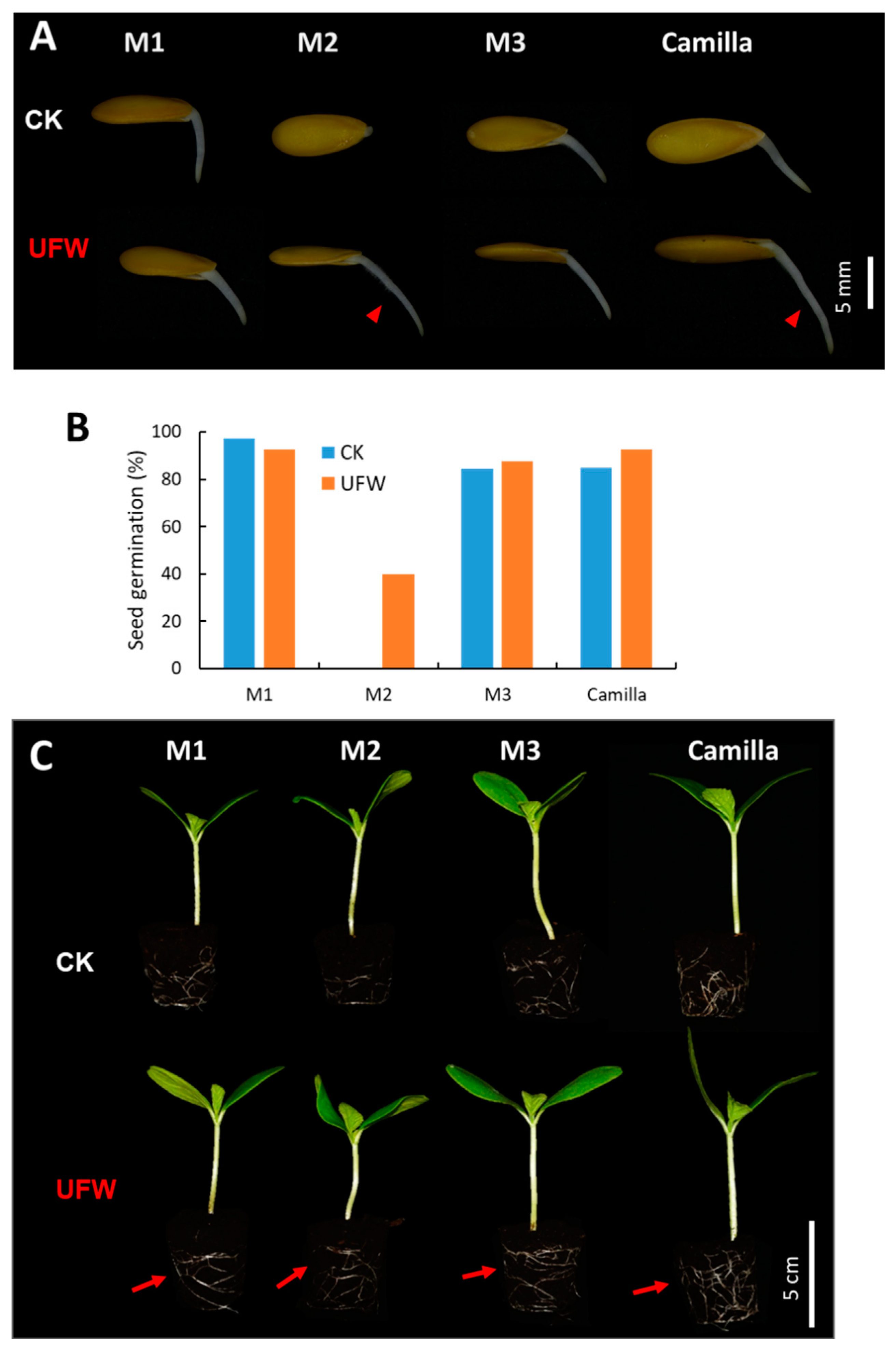 Preprints 94047 g001