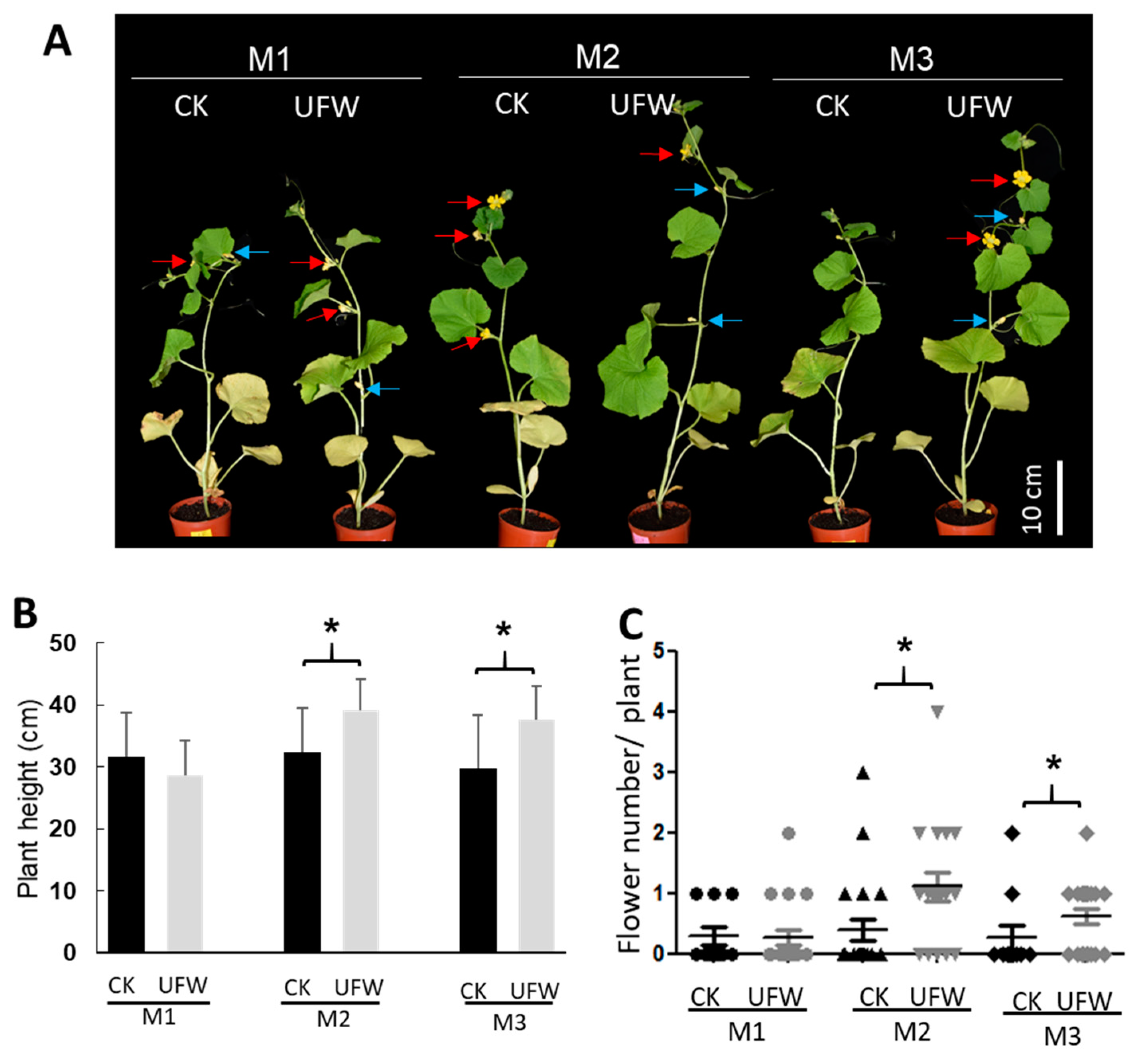 Preprints 94047 g002