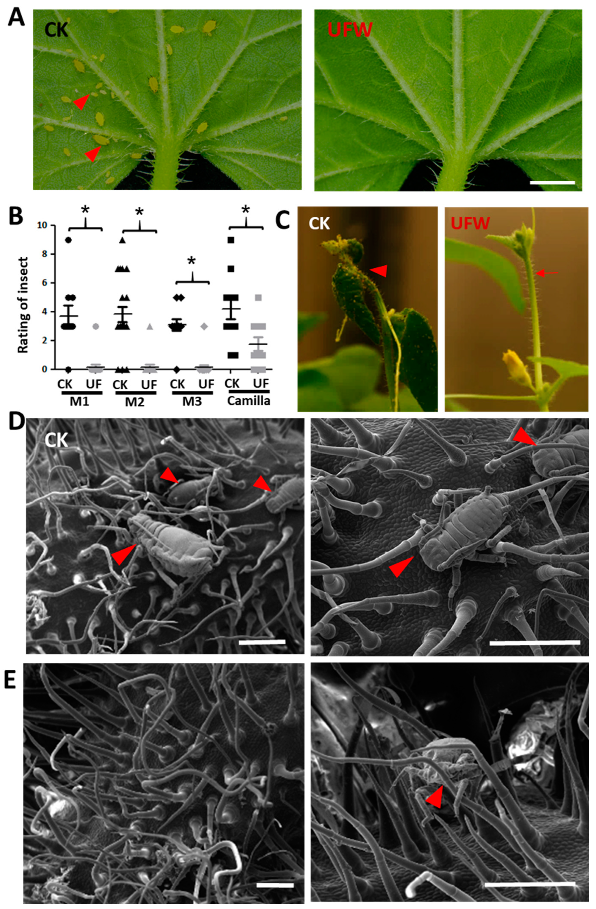 Preprints 94047 g003