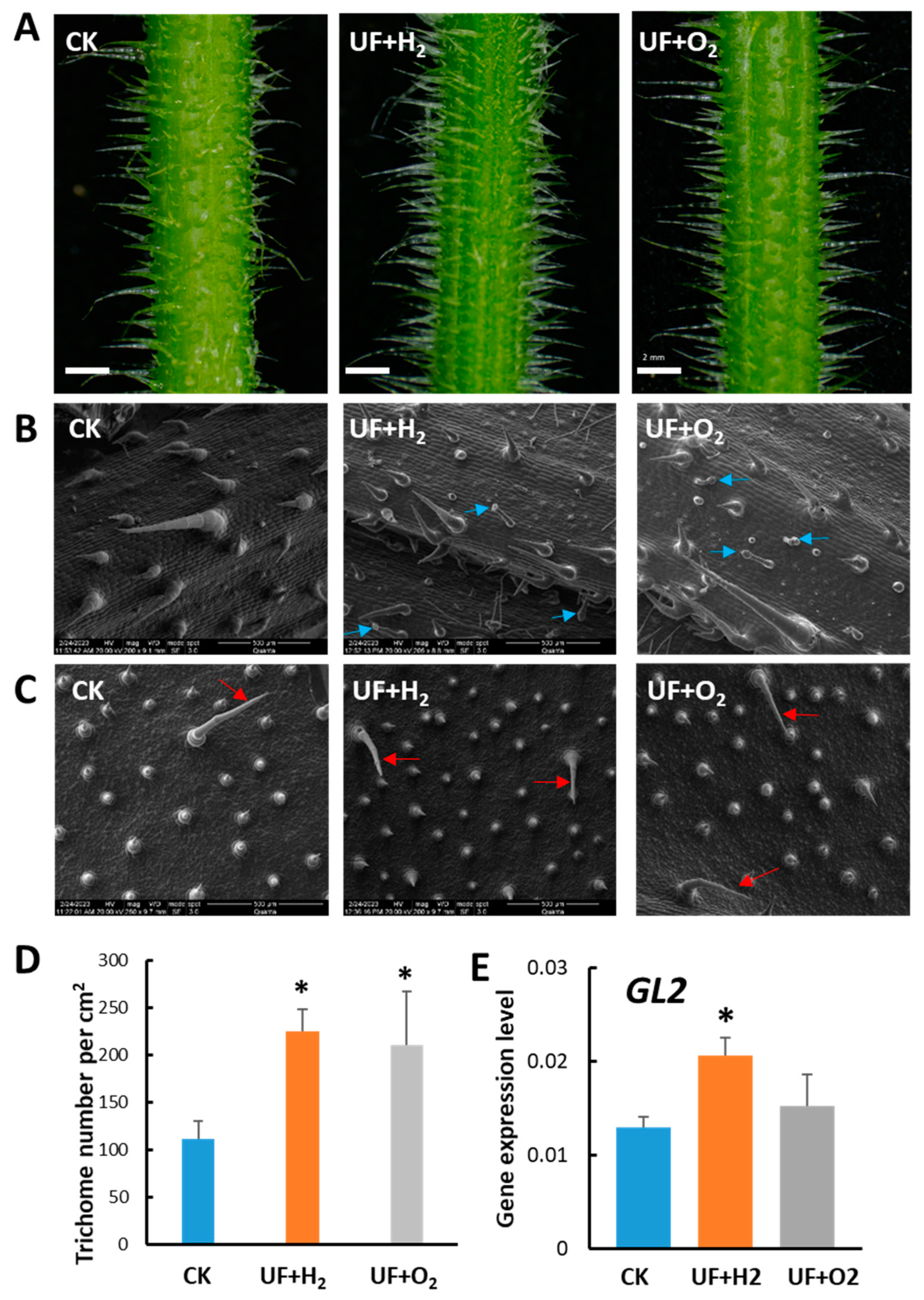Preprints 94047 g004