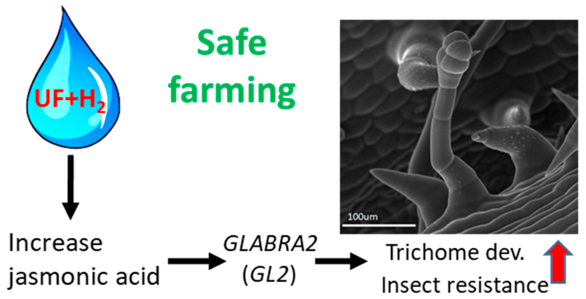 Preprints 94047 g008