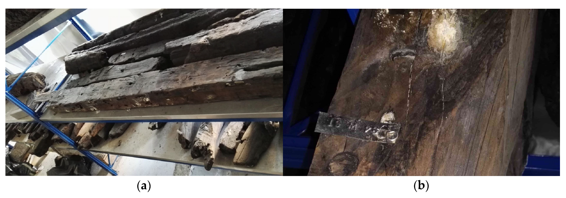 Preprints 210665 g001