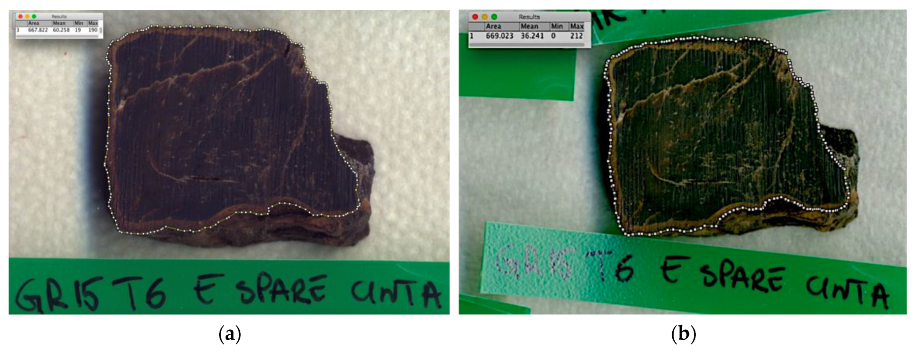 Preprints 210665 g002