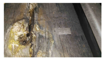 Preprints 210665 i001