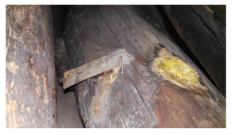 Preprints 210665 i002