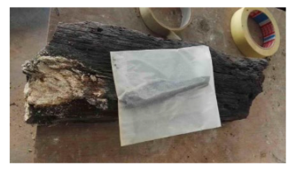 Preprints 210665 i003