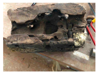 Preprints 210665 i004