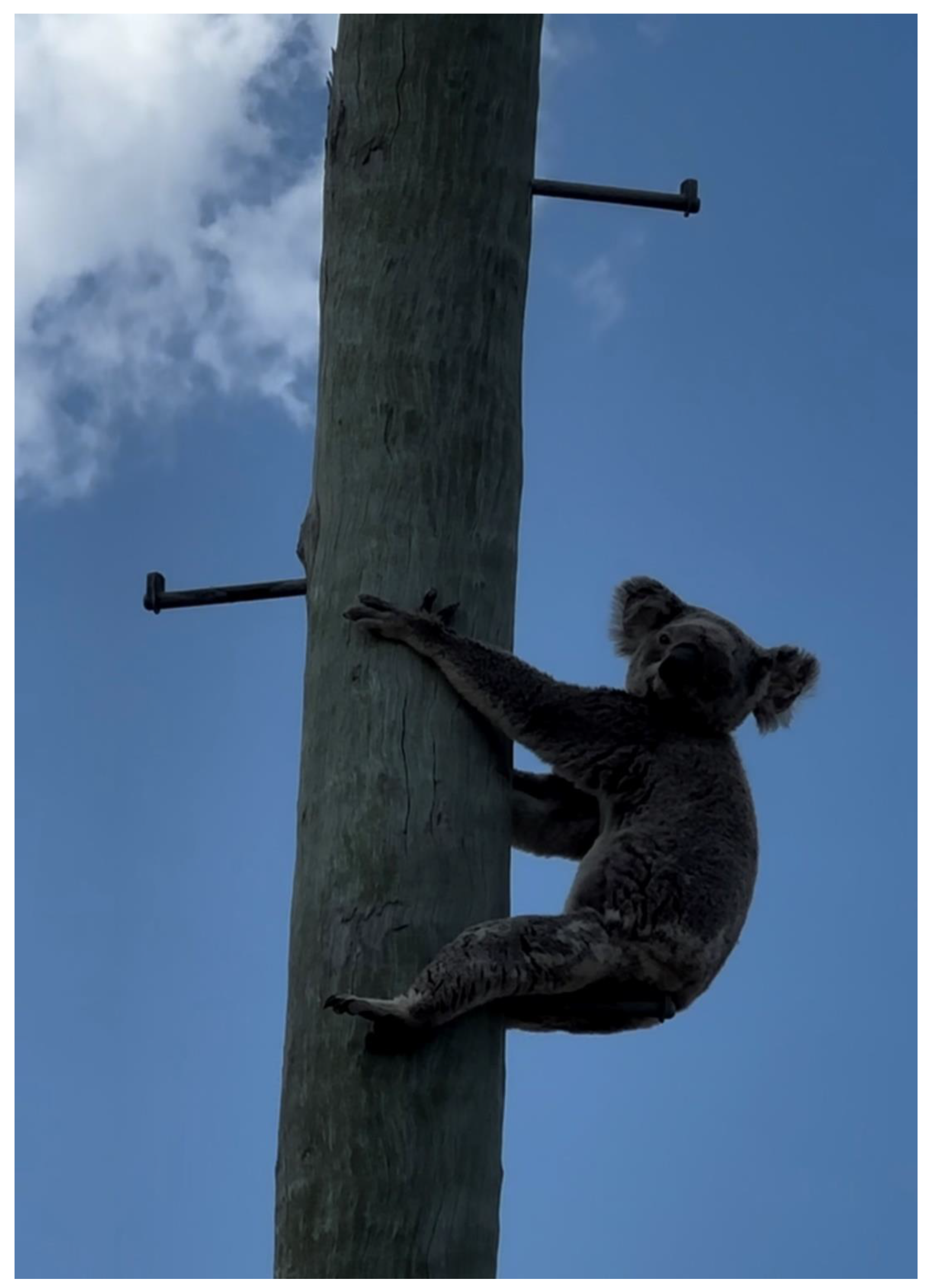 Preprints 163606 g002