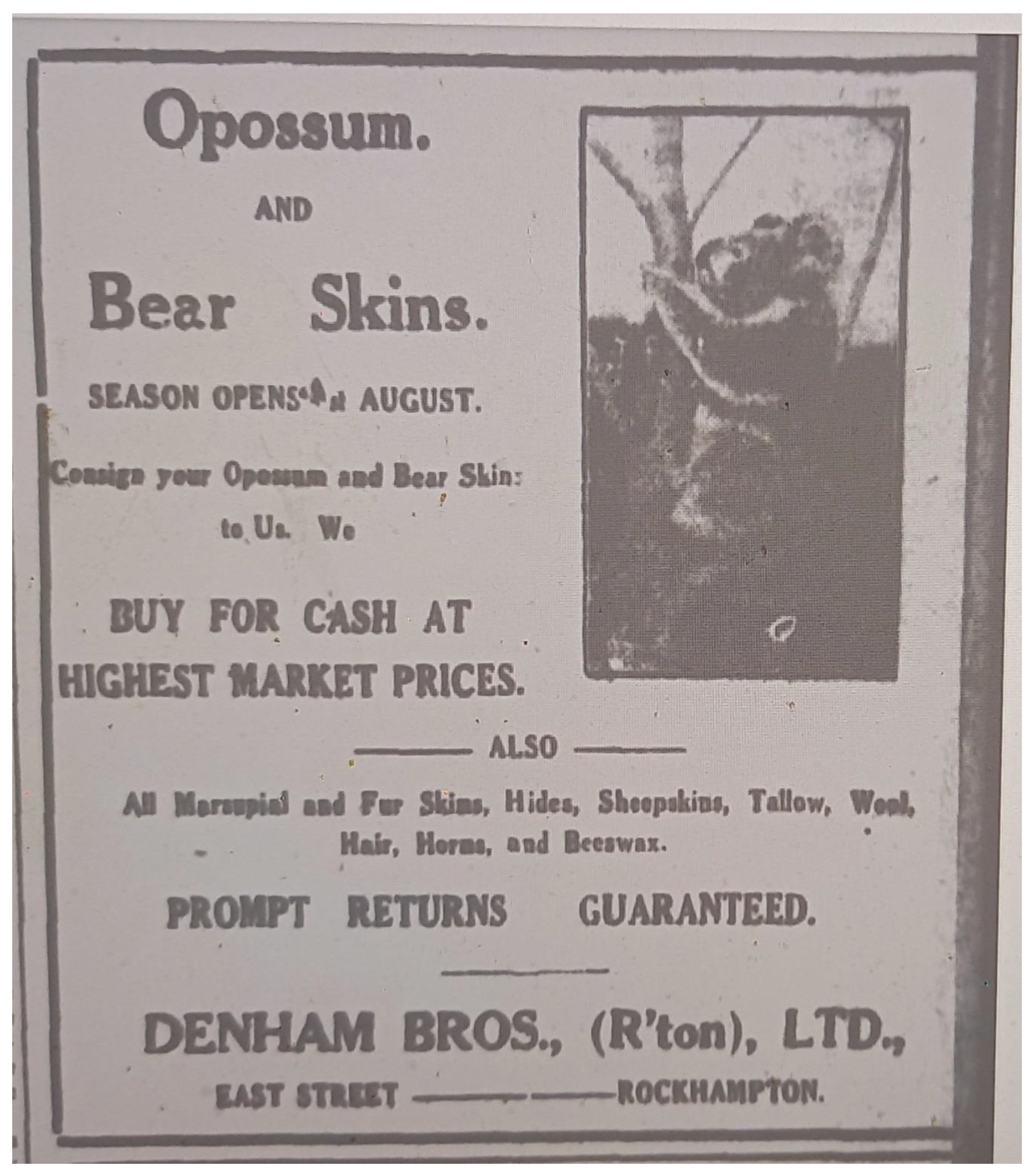 Preprints 163606 g003