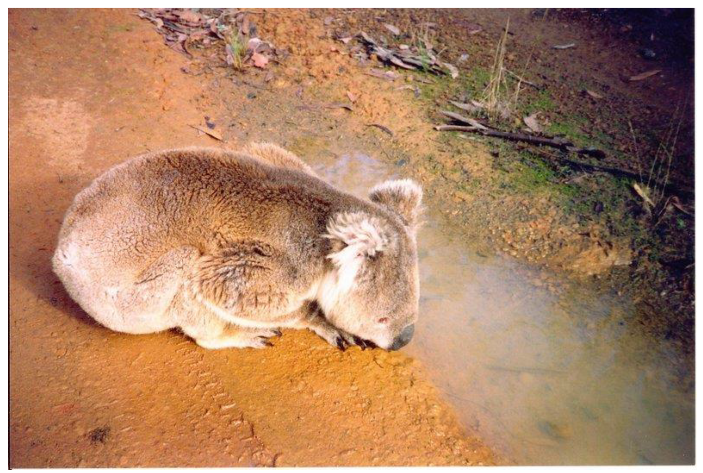 Preprints 163606 g006