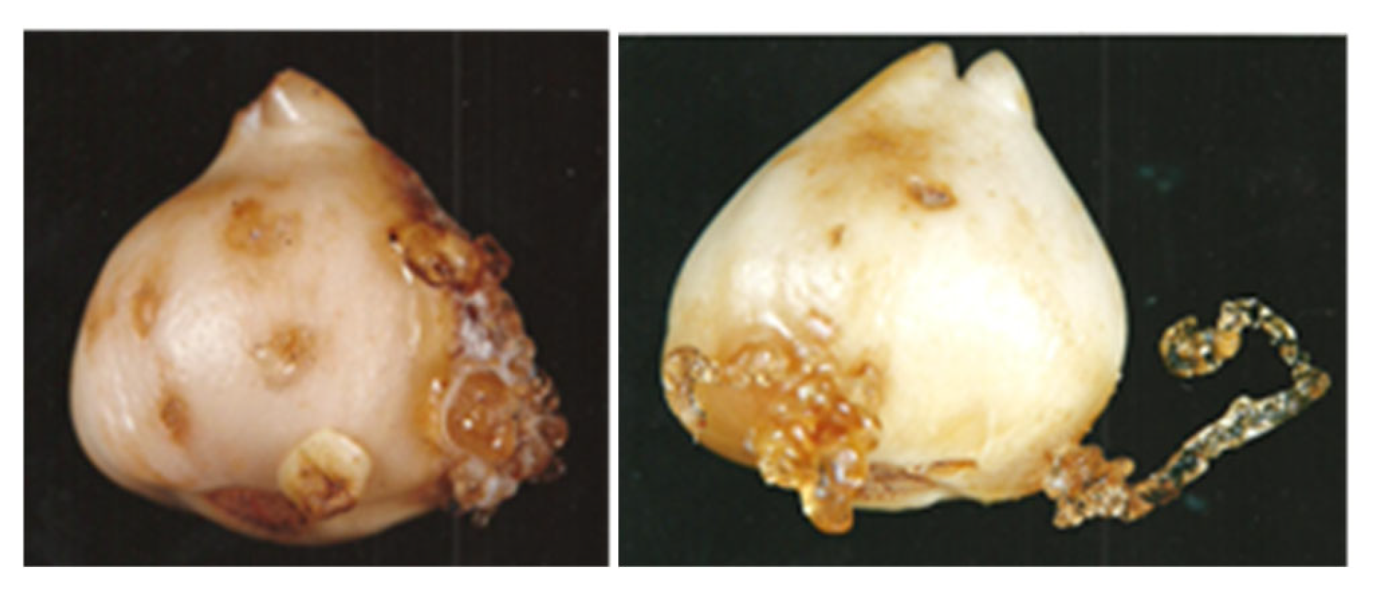 Preprints 173485 g001