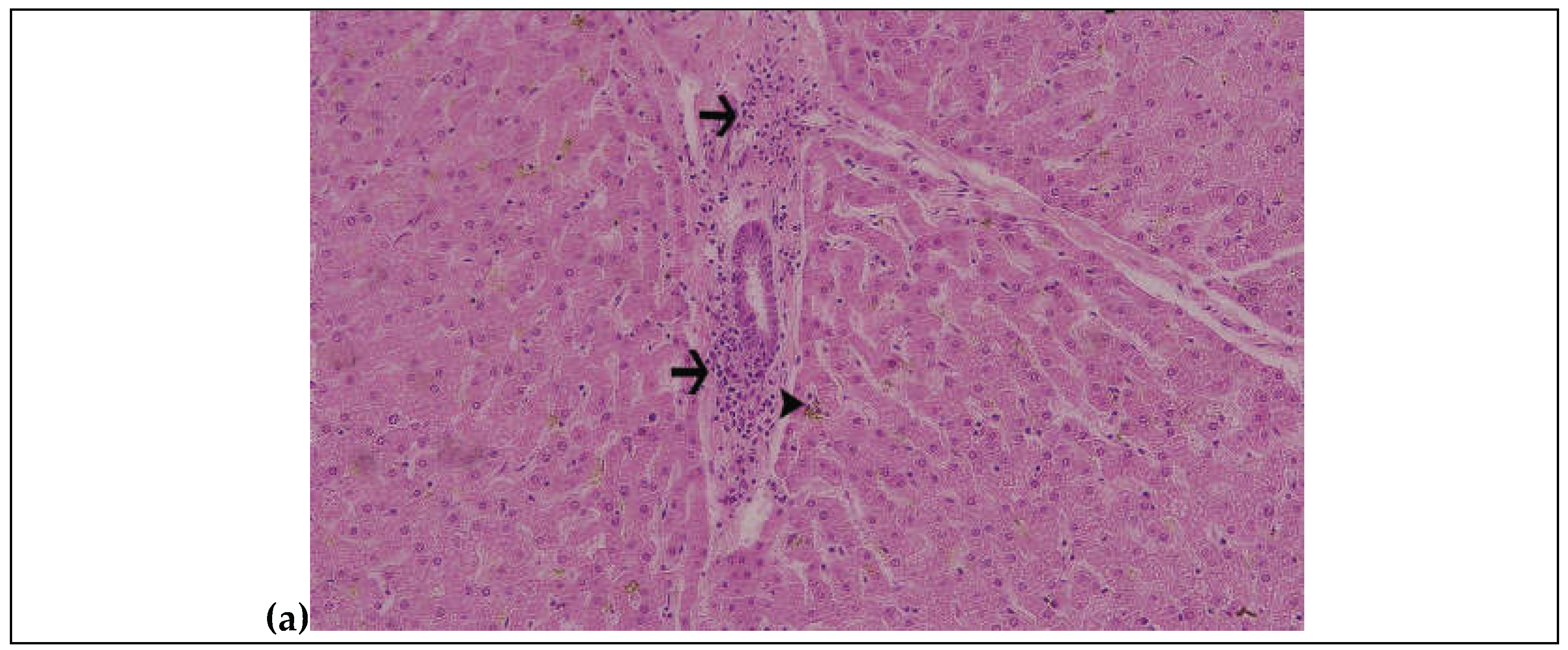 Preprints 198992 g001a
