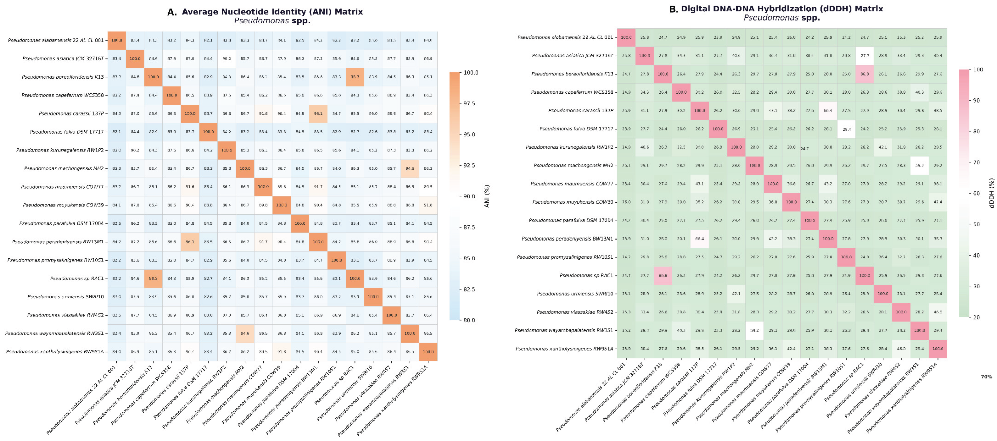 Preprints 218651 g001 Preprints 218651 g001