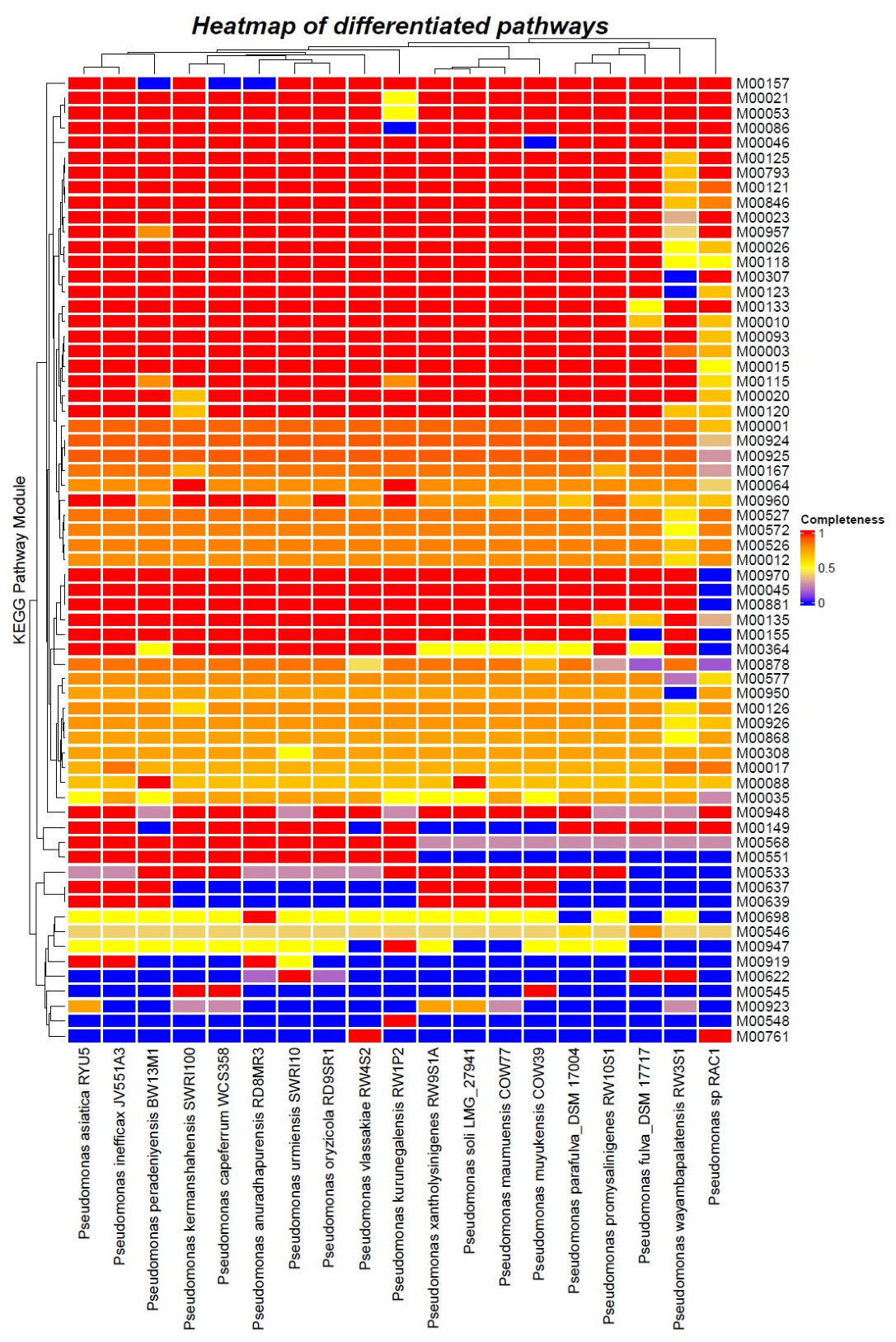 Preprints 218651 g002 Preprints 218651 g002