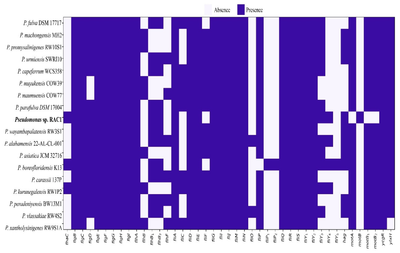 Preprints 218651 g004 Preprints 218651 g004