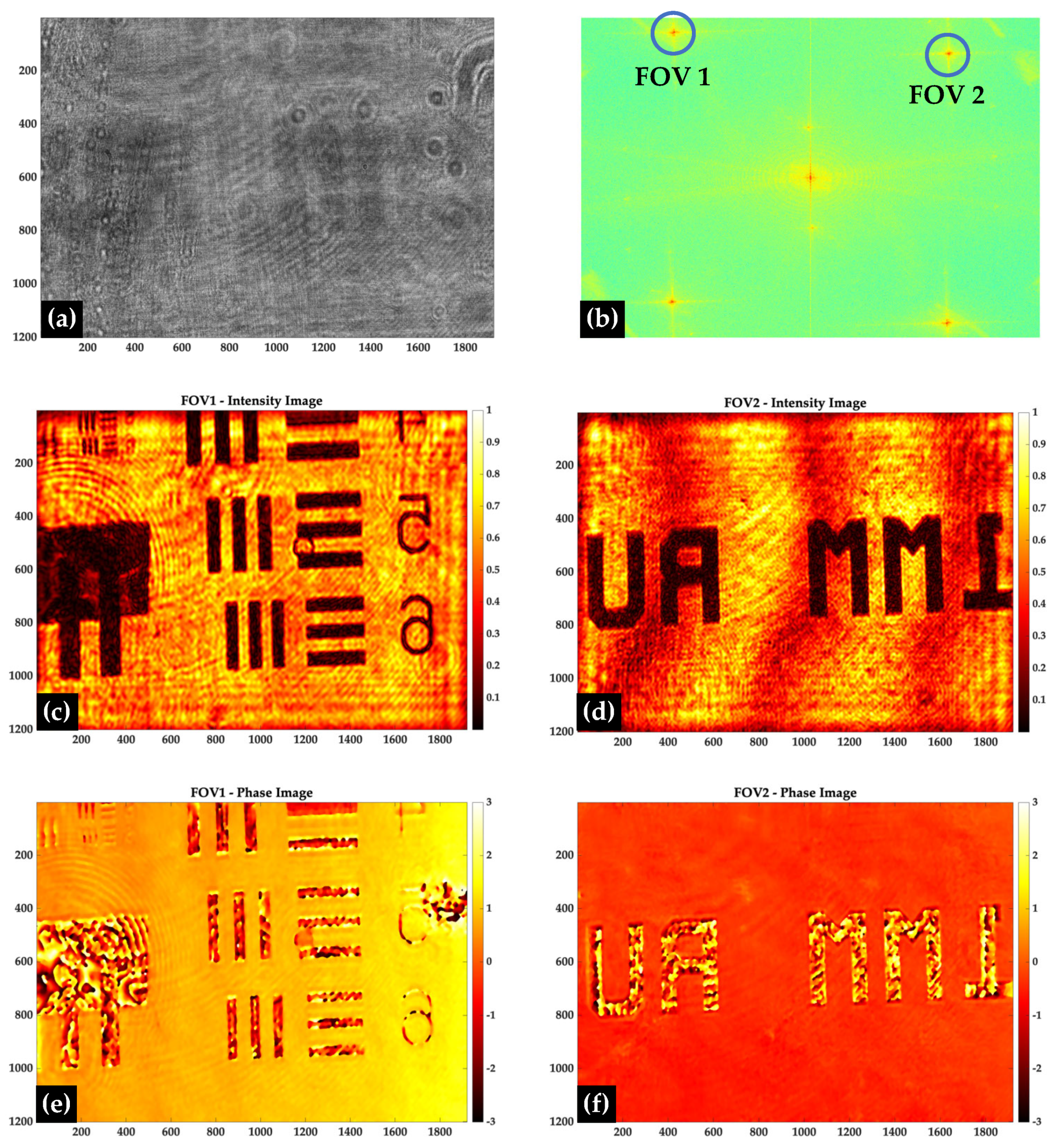 Preprints 160668 g002
