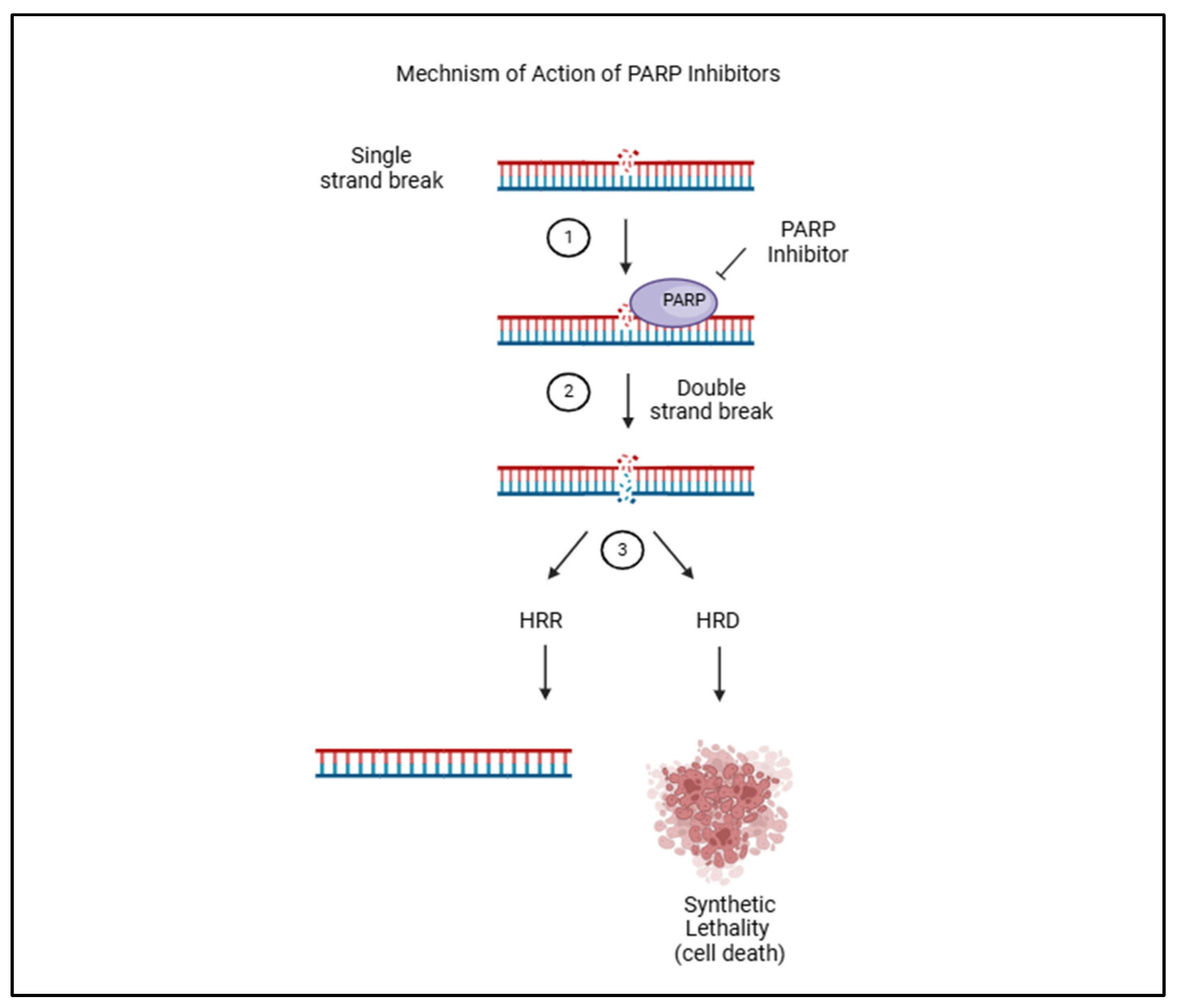 Preprints 141735 g001