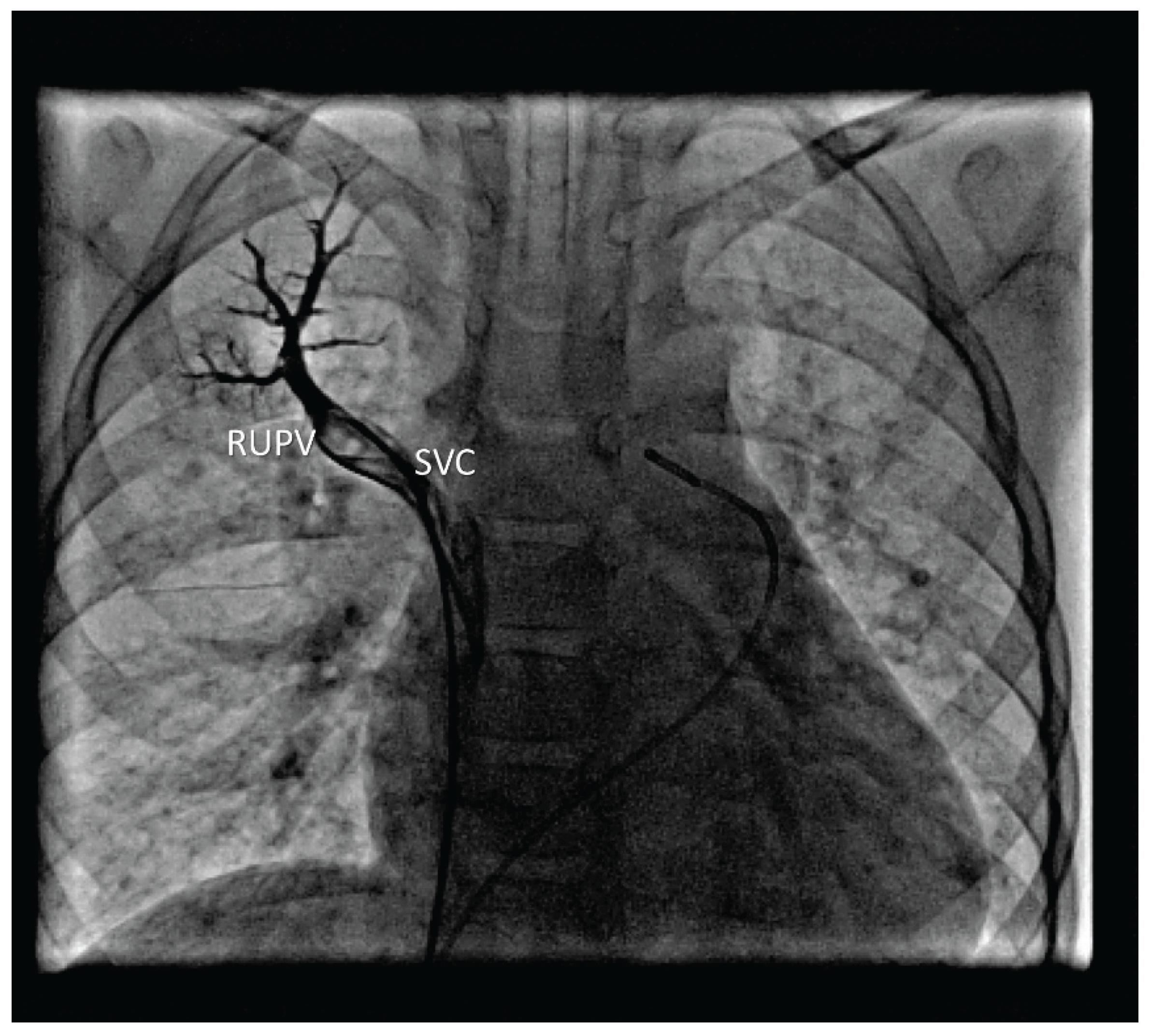 Preprints 196102 g001