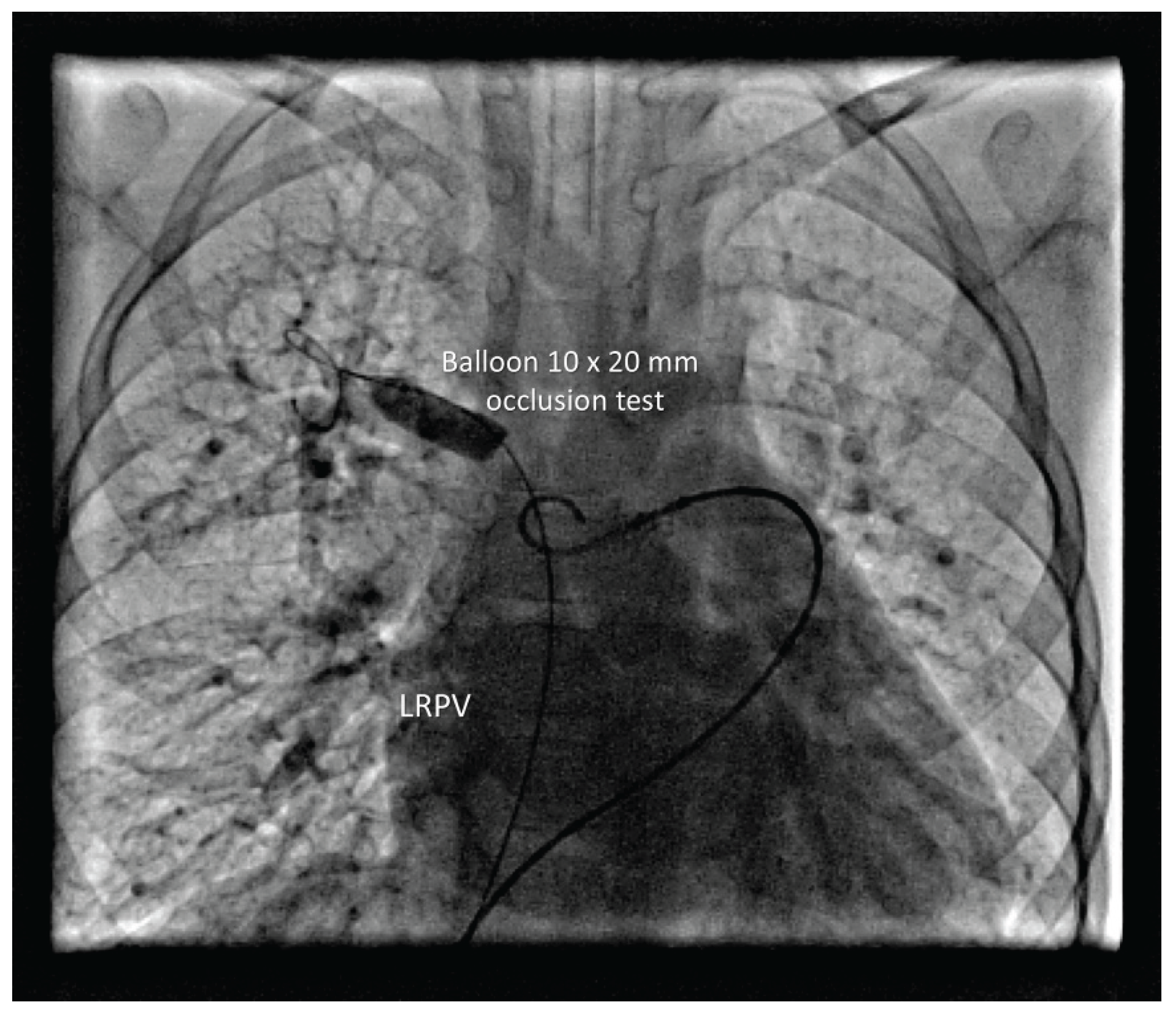 Preprints 196102 g002