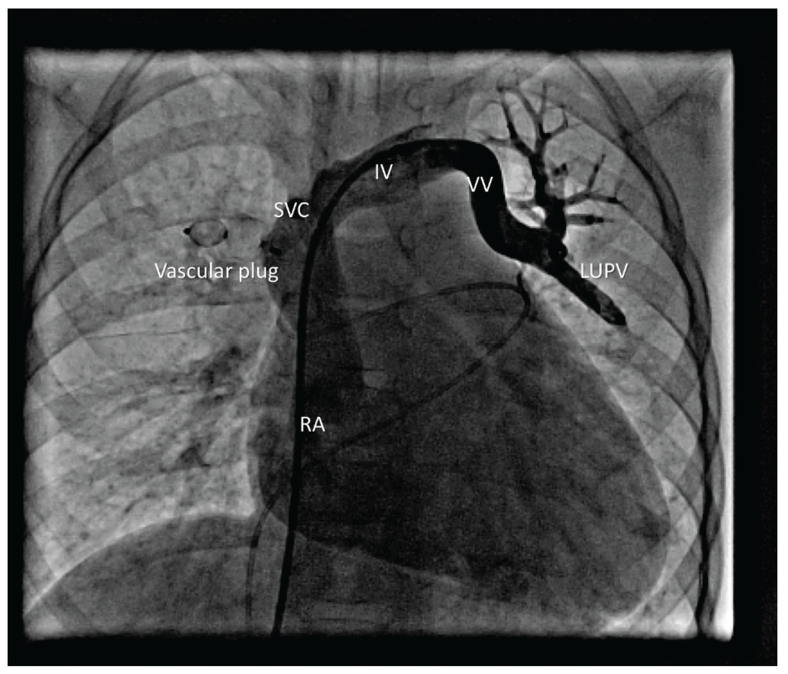 Preprints 196102 g003