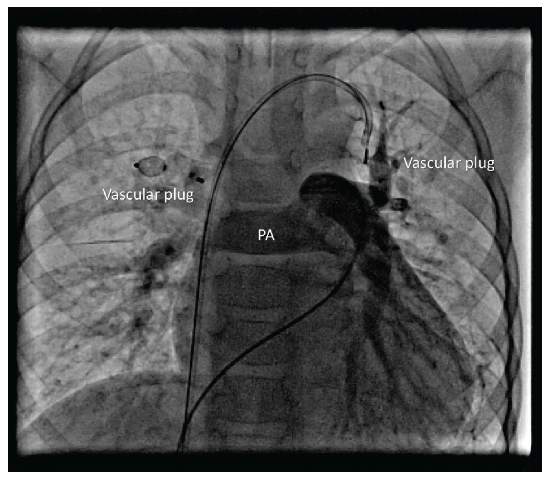 Preprints 196102 g004
